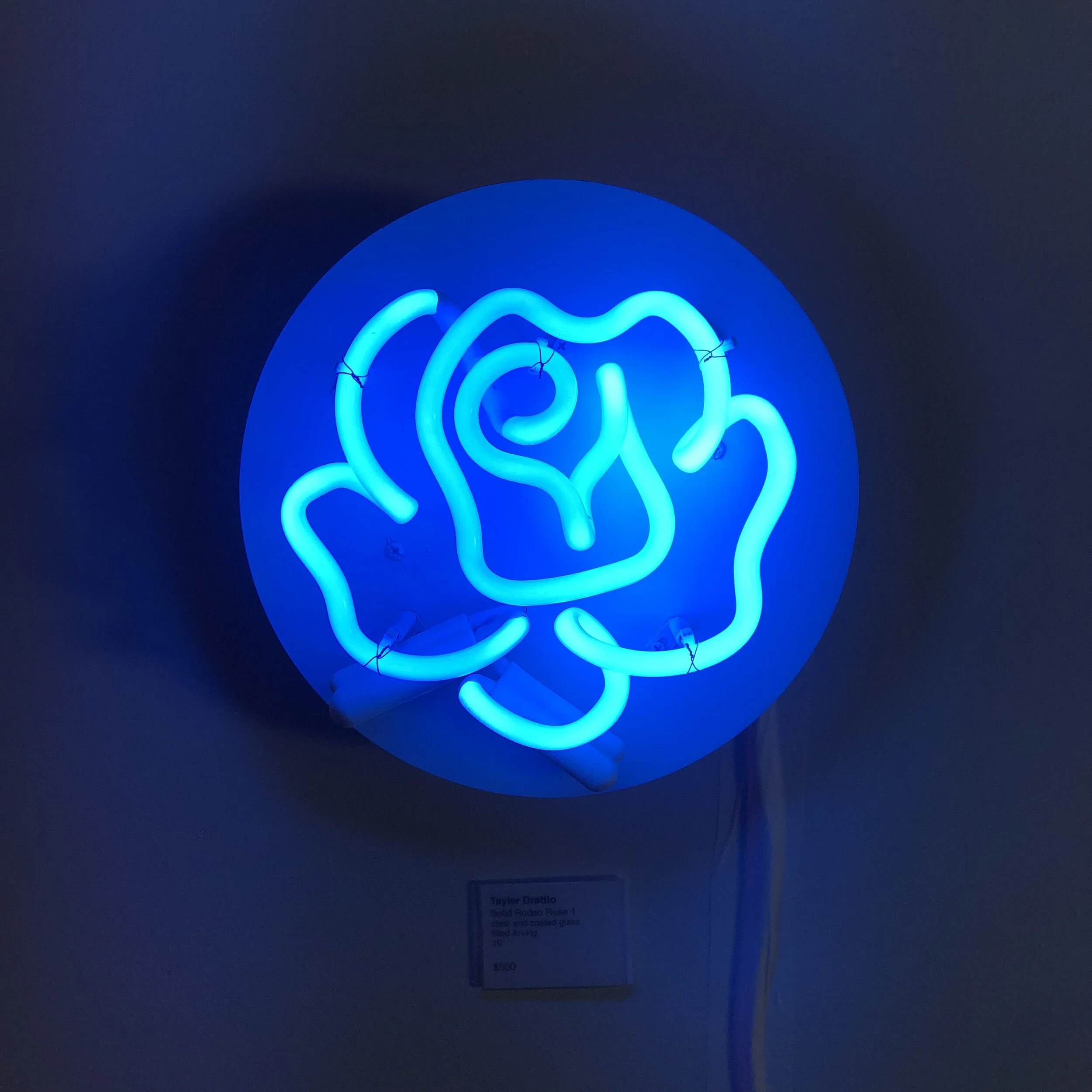 BLUE ROSE.jpg