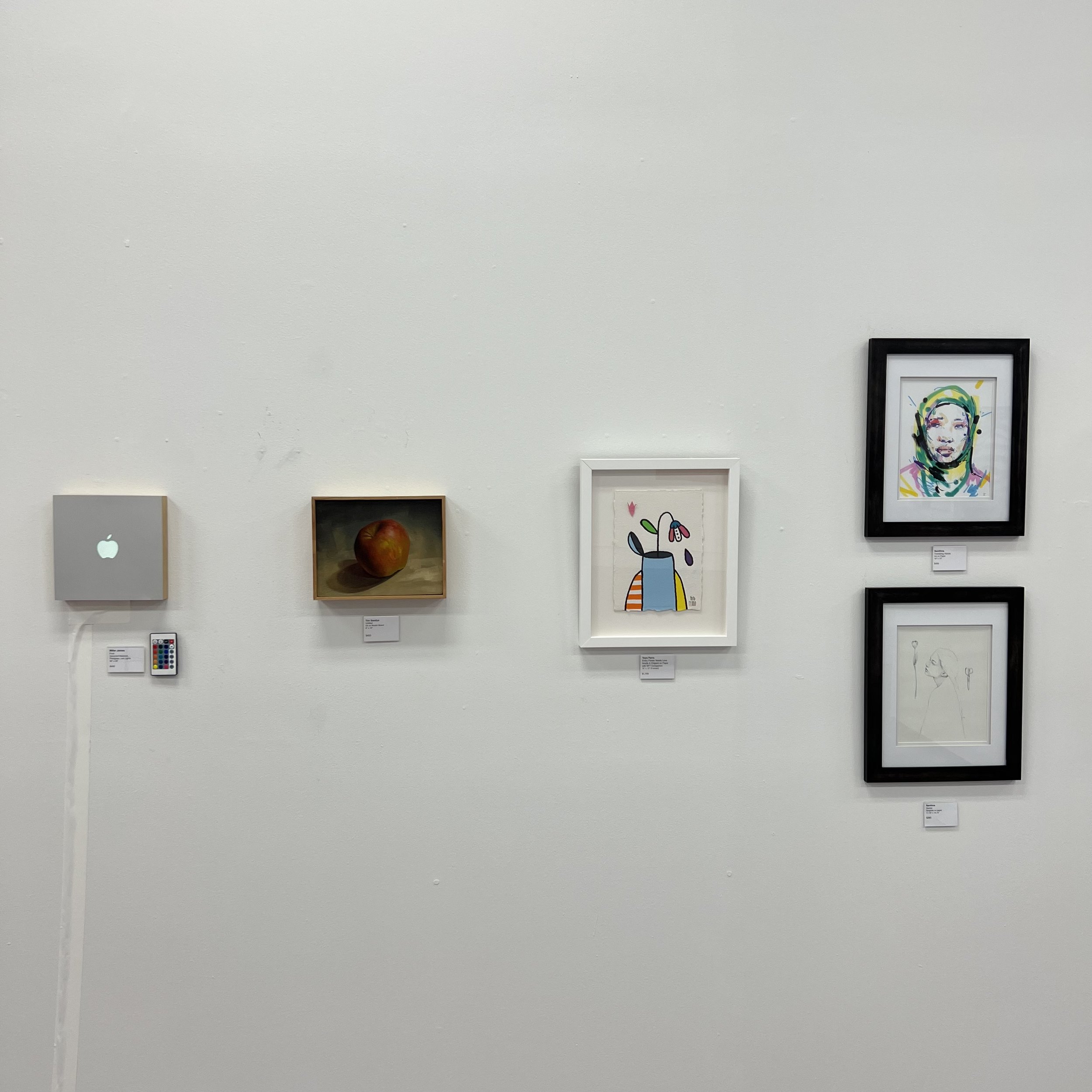 SANITHNA MILLER YOYO TIM INSTALL.jpg