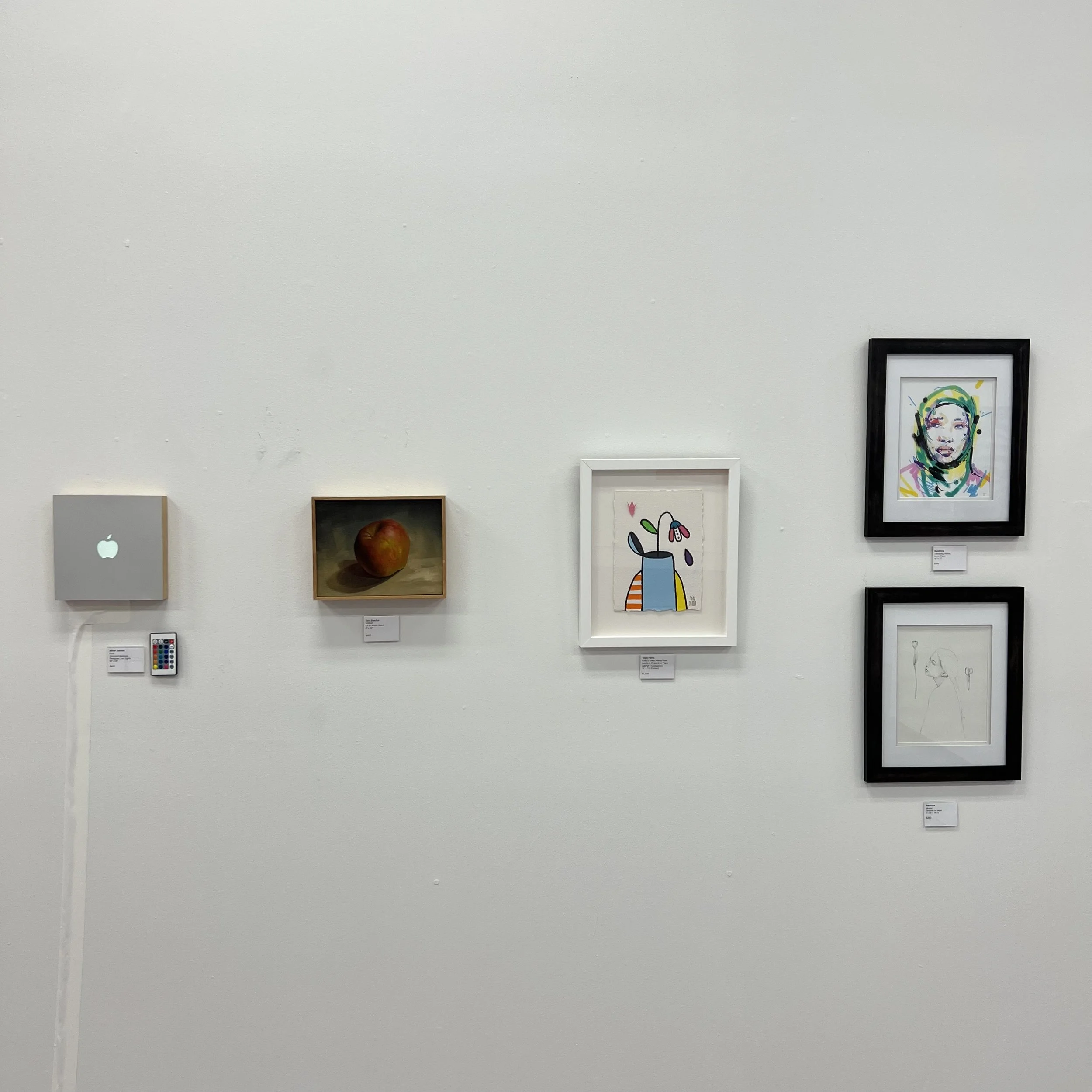 SANITHNA MILLER YOYO TIM INSTALL.jpg