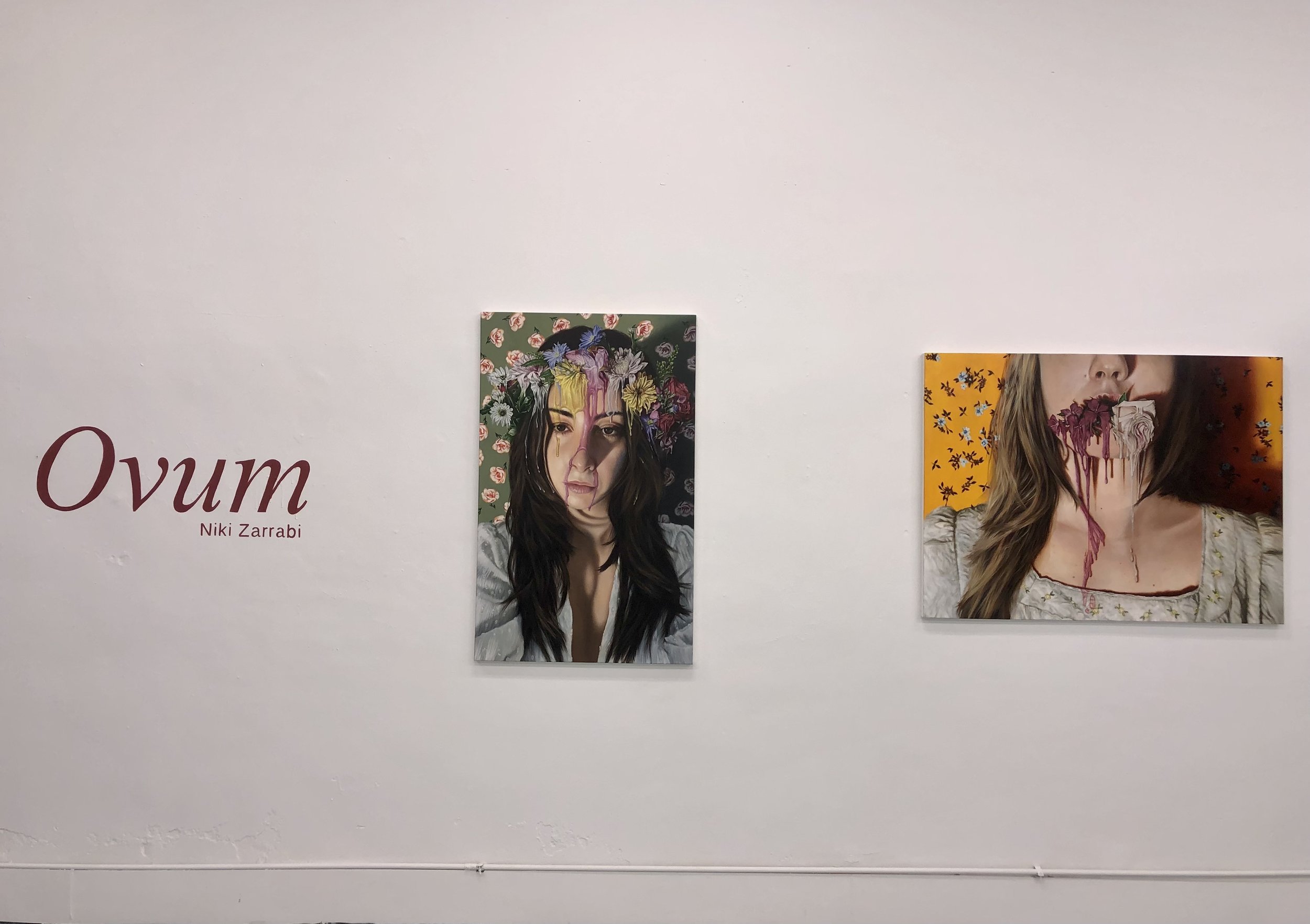 OVUM+INSTALL.jpg