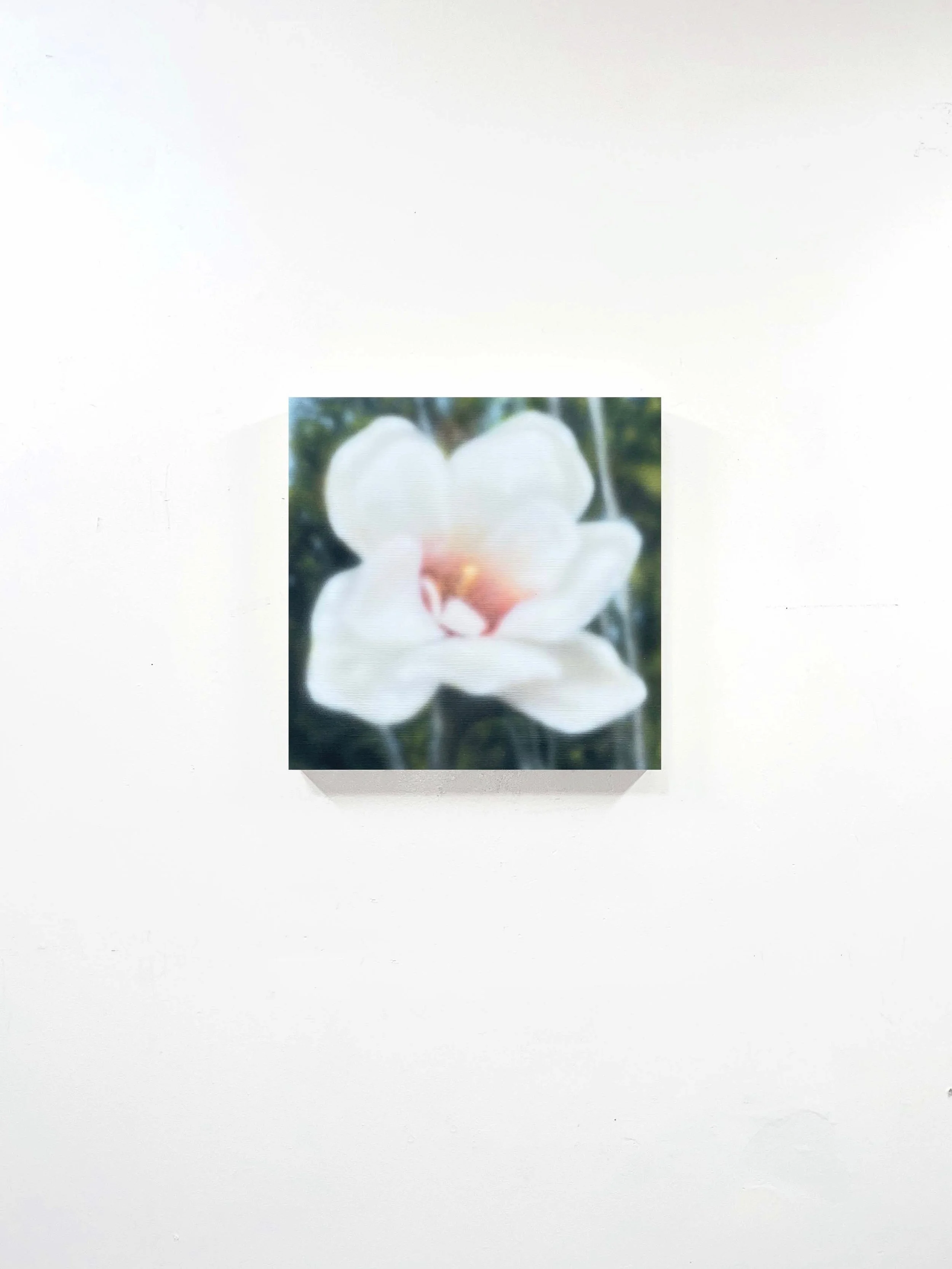 Image 7-6-23 at 4.46 PM.jpeg