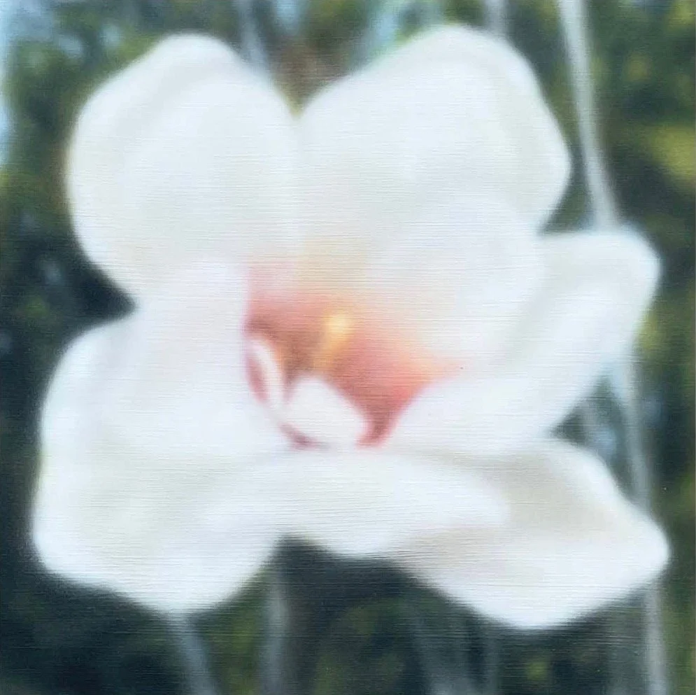 Image 7-6-23 at 4.46 PM.jpeg