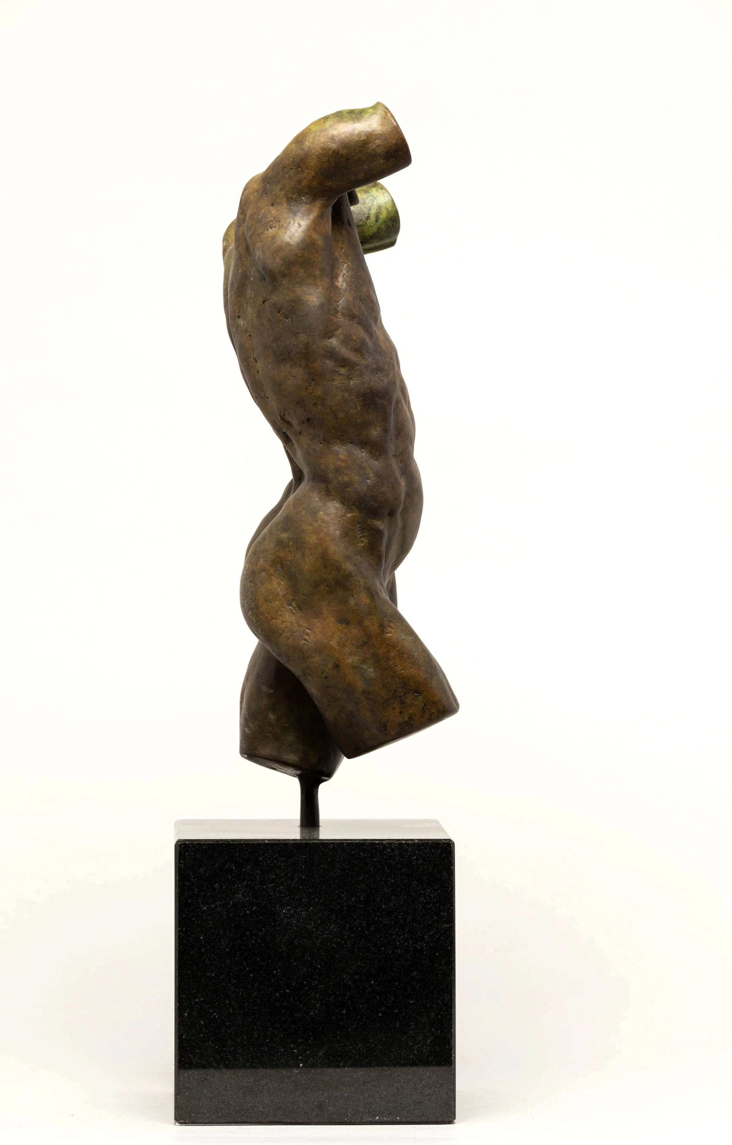 MichaelFragmentBronze (5 of 6).JPG