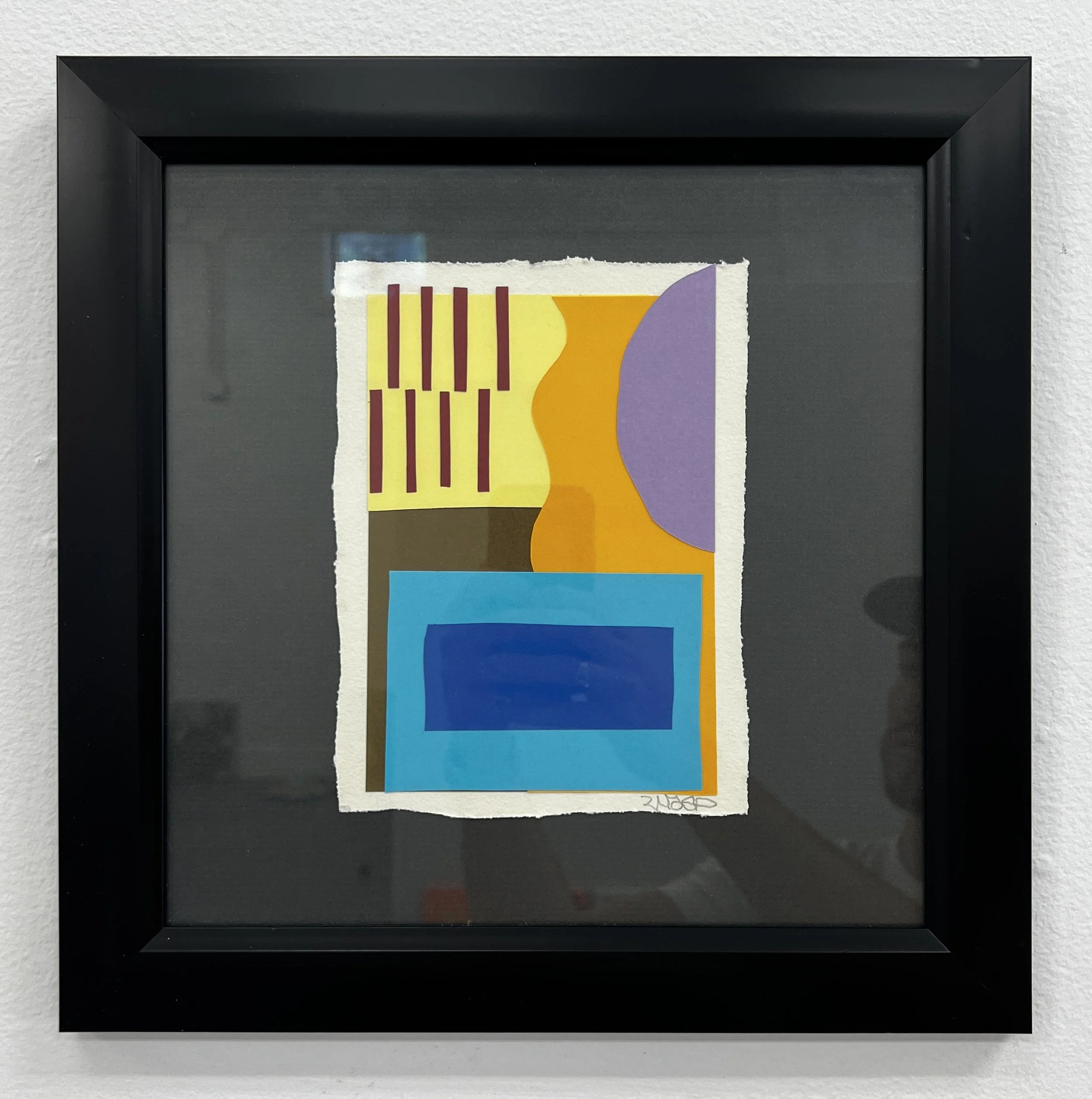 WASP 1.jpg
