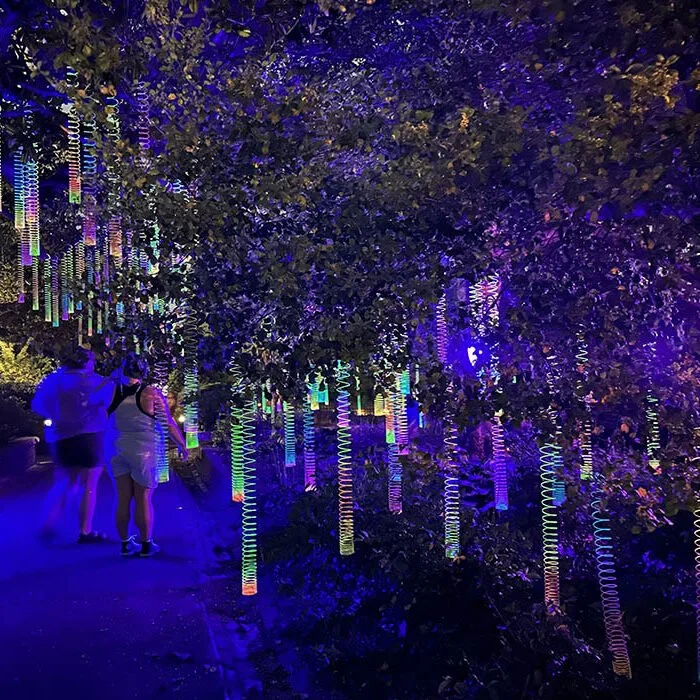 "Illumine" Experience Oakland After Dark 