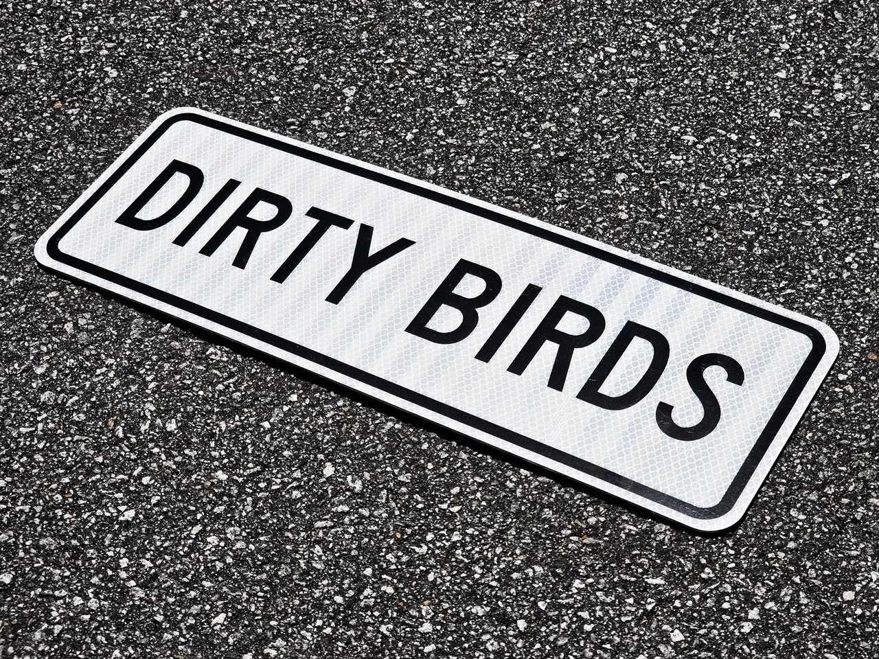DirtyBirds.webp