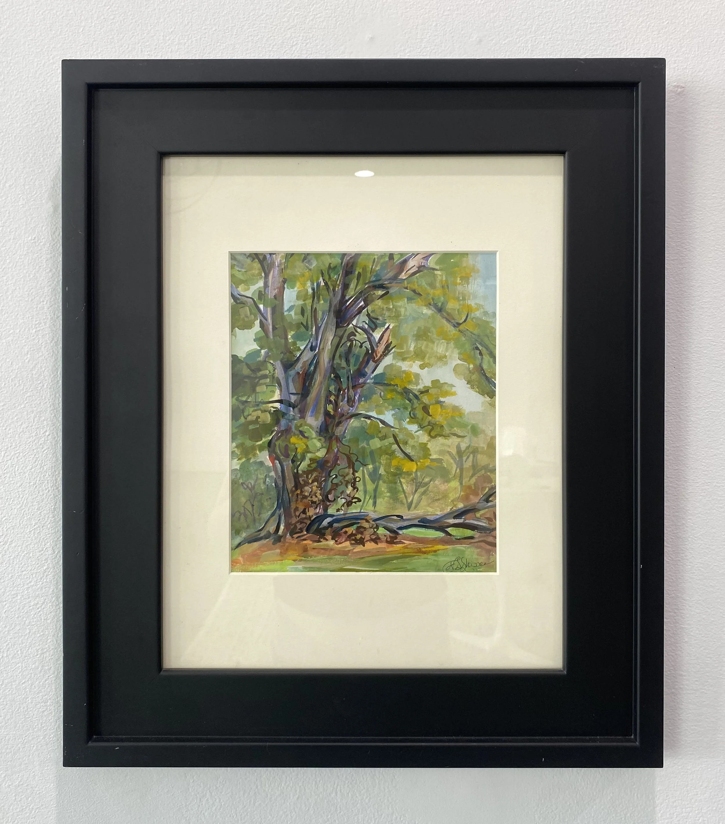 FramedTree.jpg