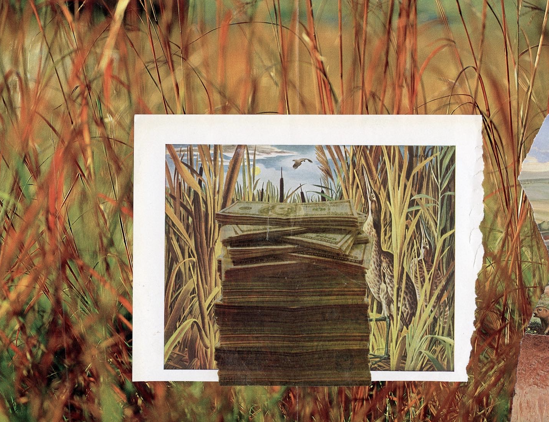 Screen Shot 2025-10-09 at 11.29.45 AM.png