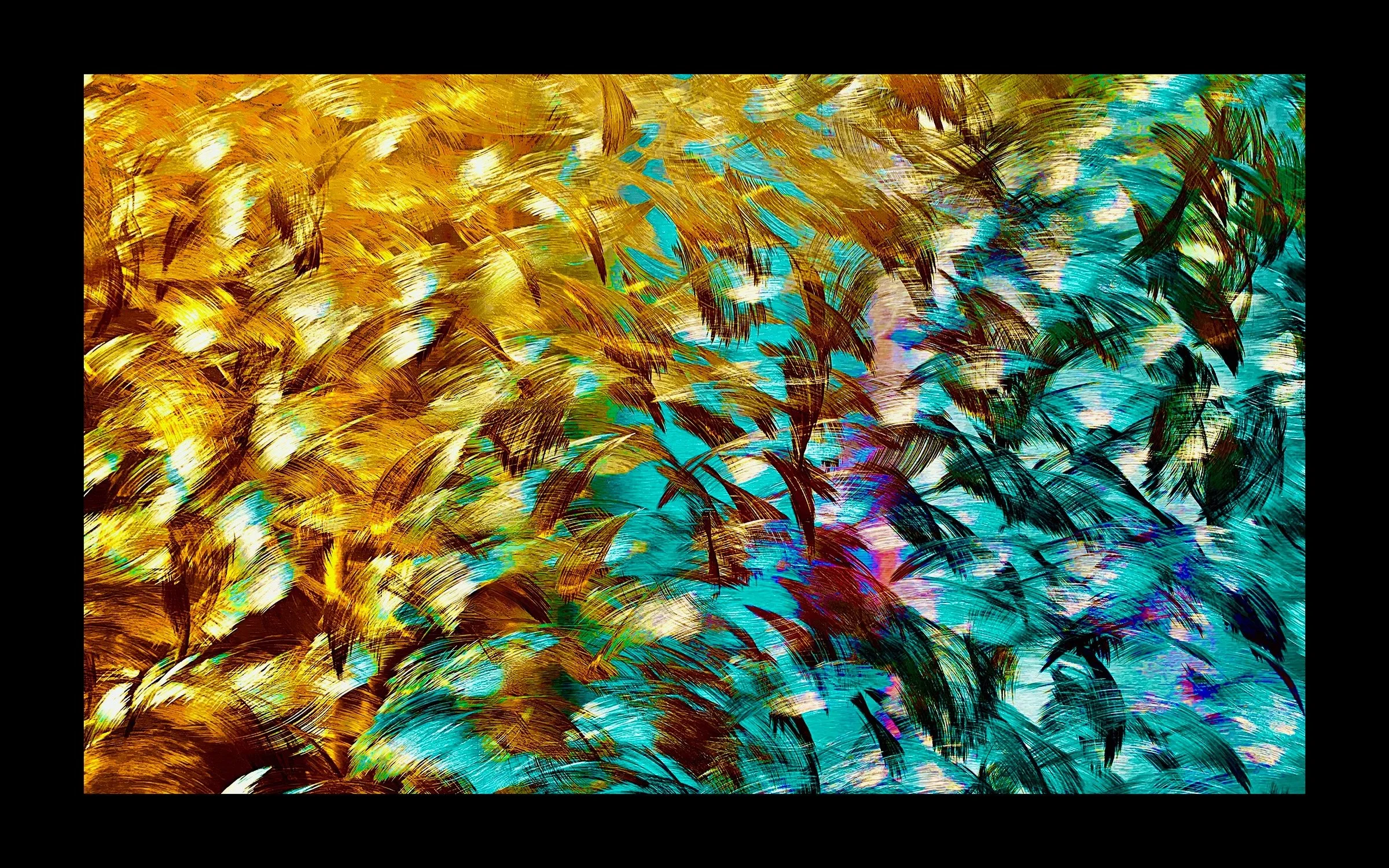 9988E55F-CA7C-45AA-8183-4A5052F27F86jb small 1.jpeg