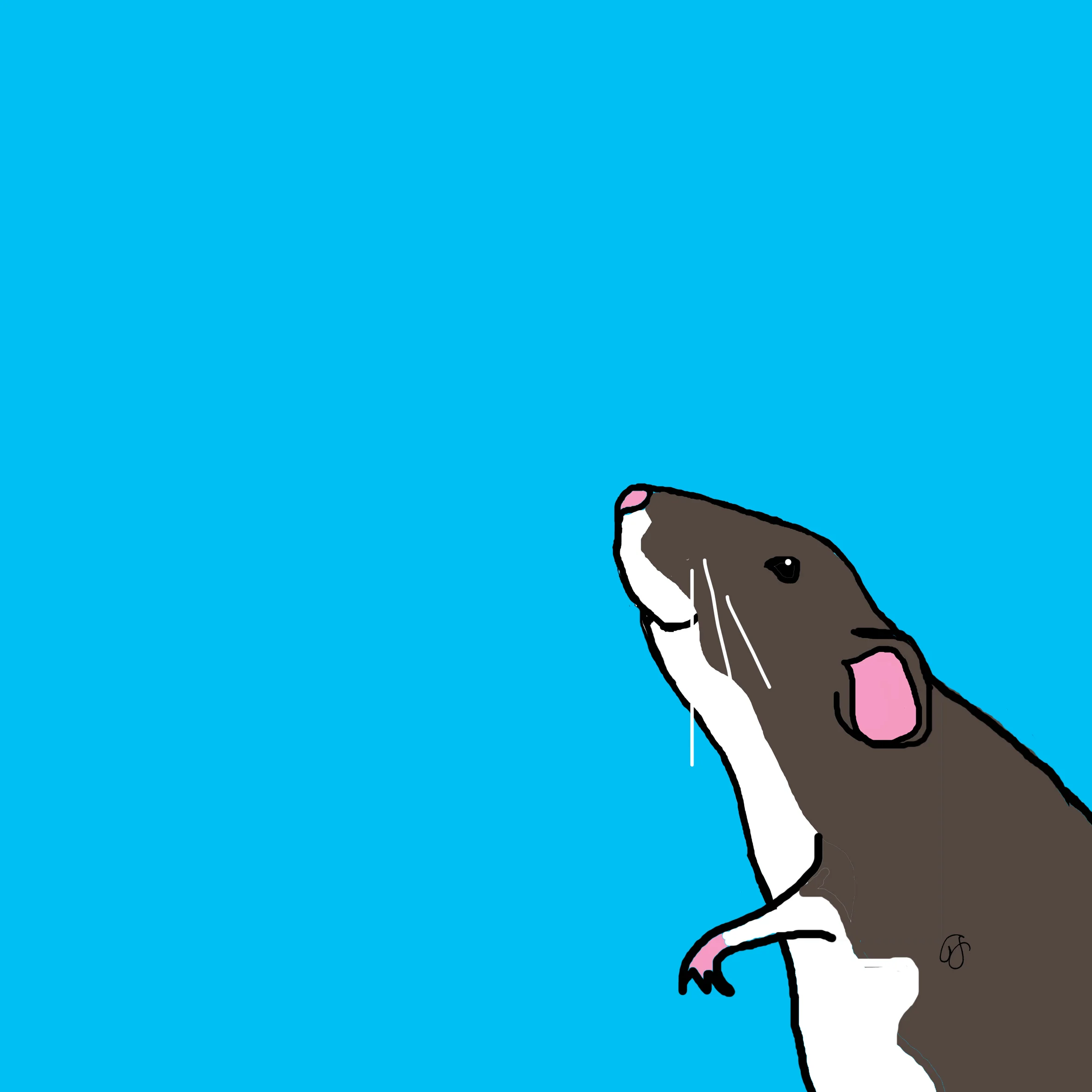 RAT FOR CANVAS HI.jpg
