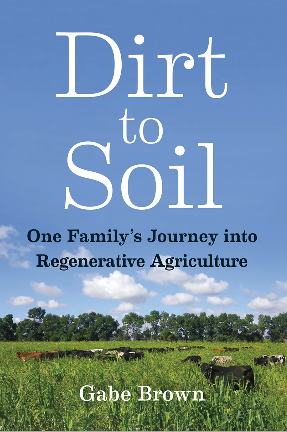 From Dirt to Soil