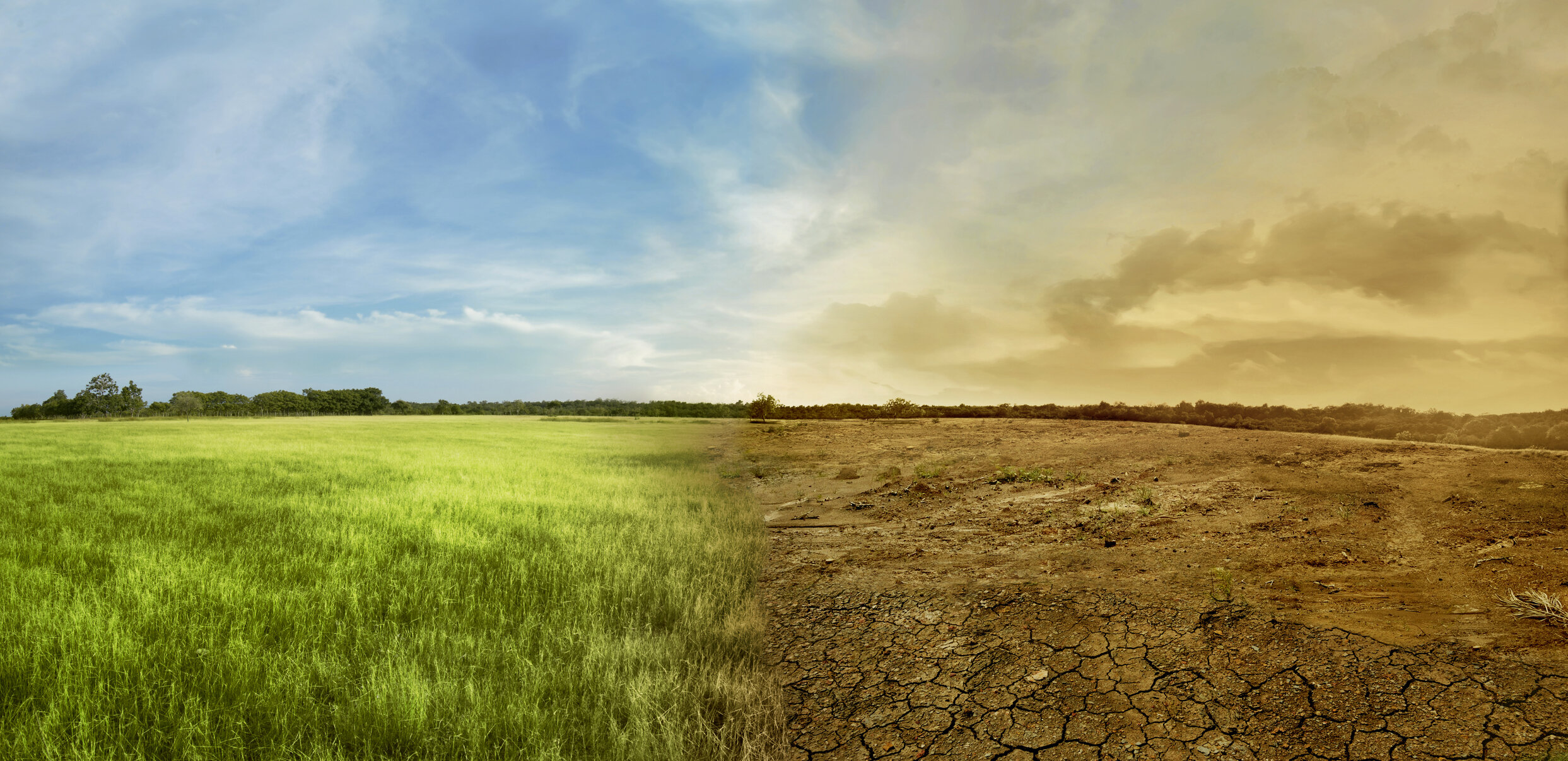 Landscape-of-meadow-field-with-the-changing-environment-649087808_2489x1208.jpeg