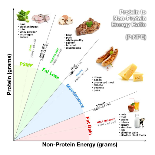 Are All Proteins Created Equal? — Sacred Cow