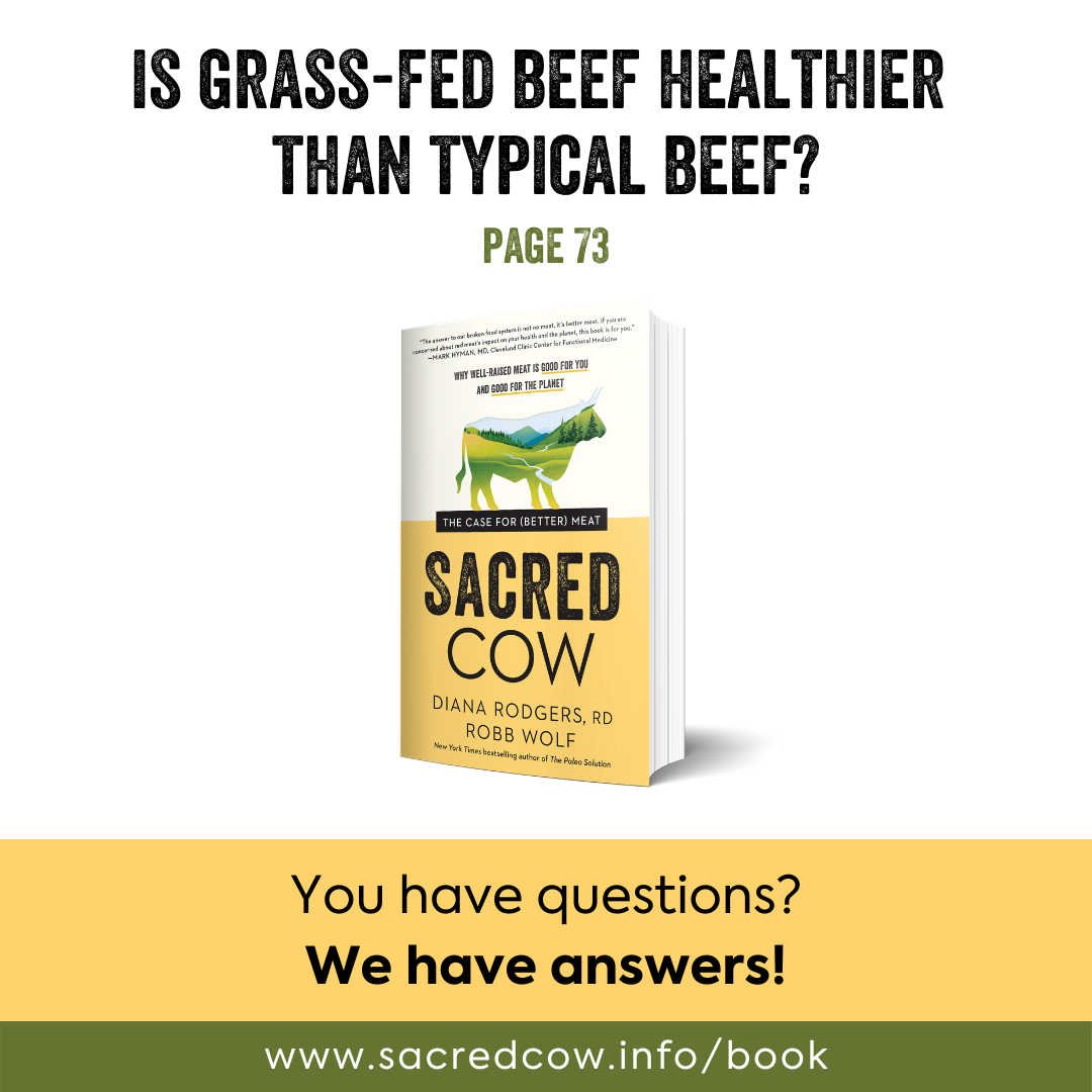 SC grass-fed beef vs typical.png