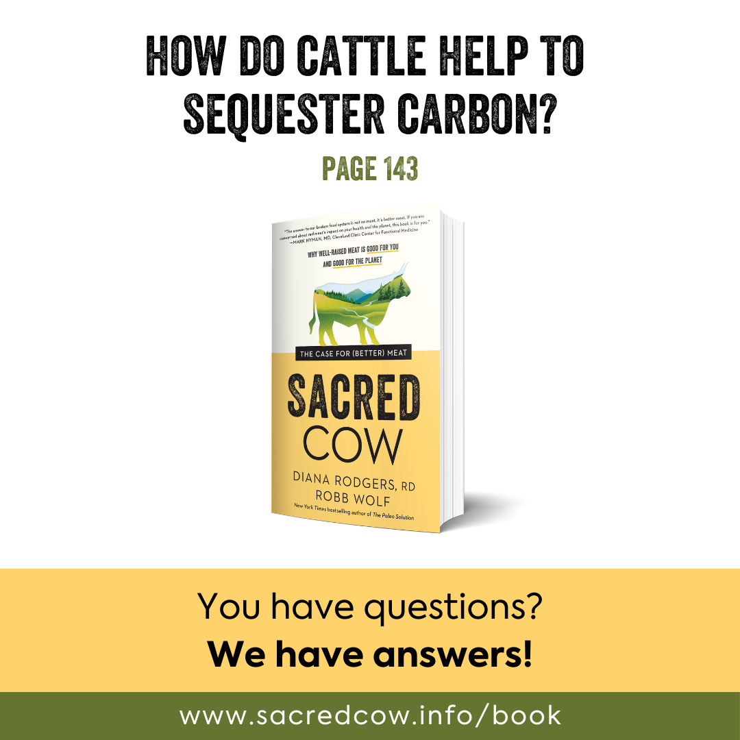 SC cattle and carbon.png