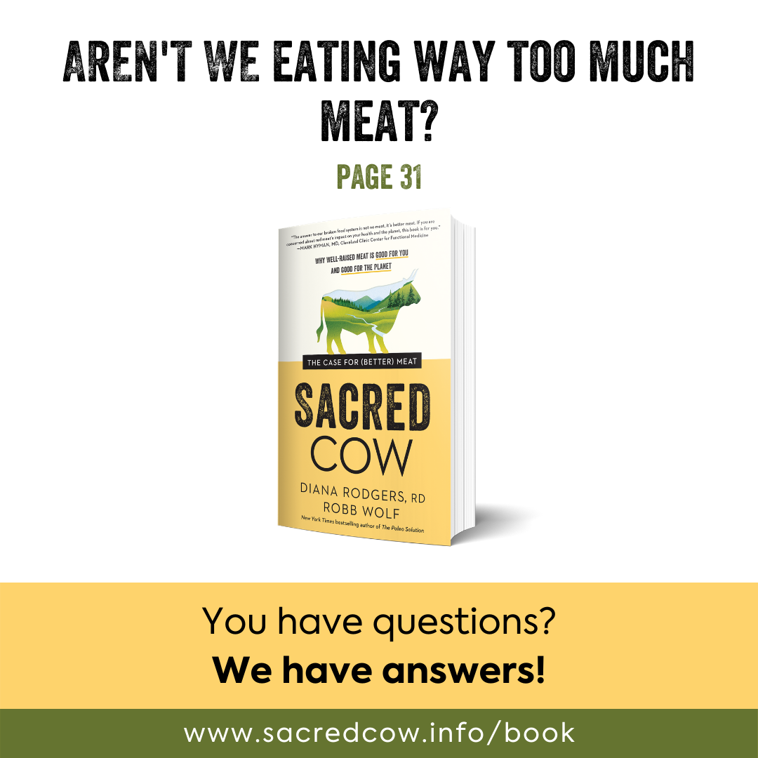 SC eating too much meat.png
