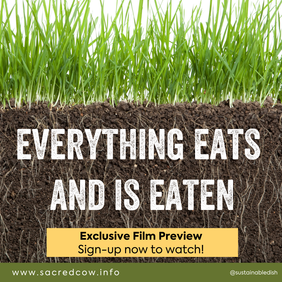 Film Launch Everything Eats & Is Eaten Image Card (1).png