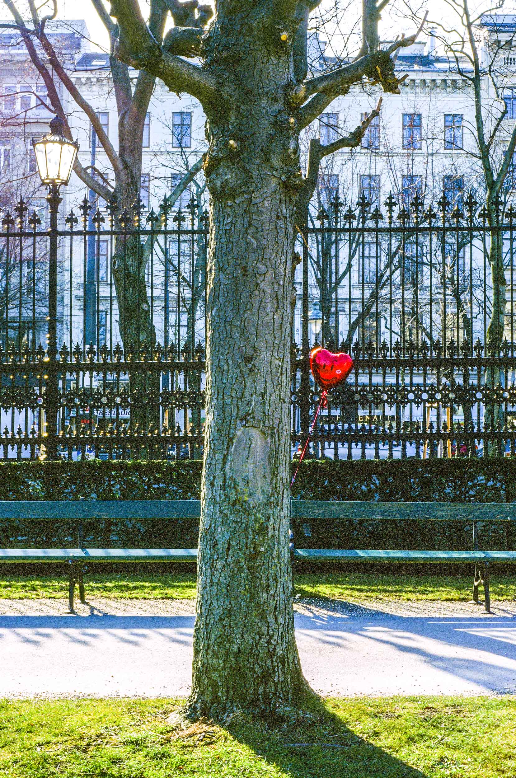 Lonely Heart, Vienna 2019