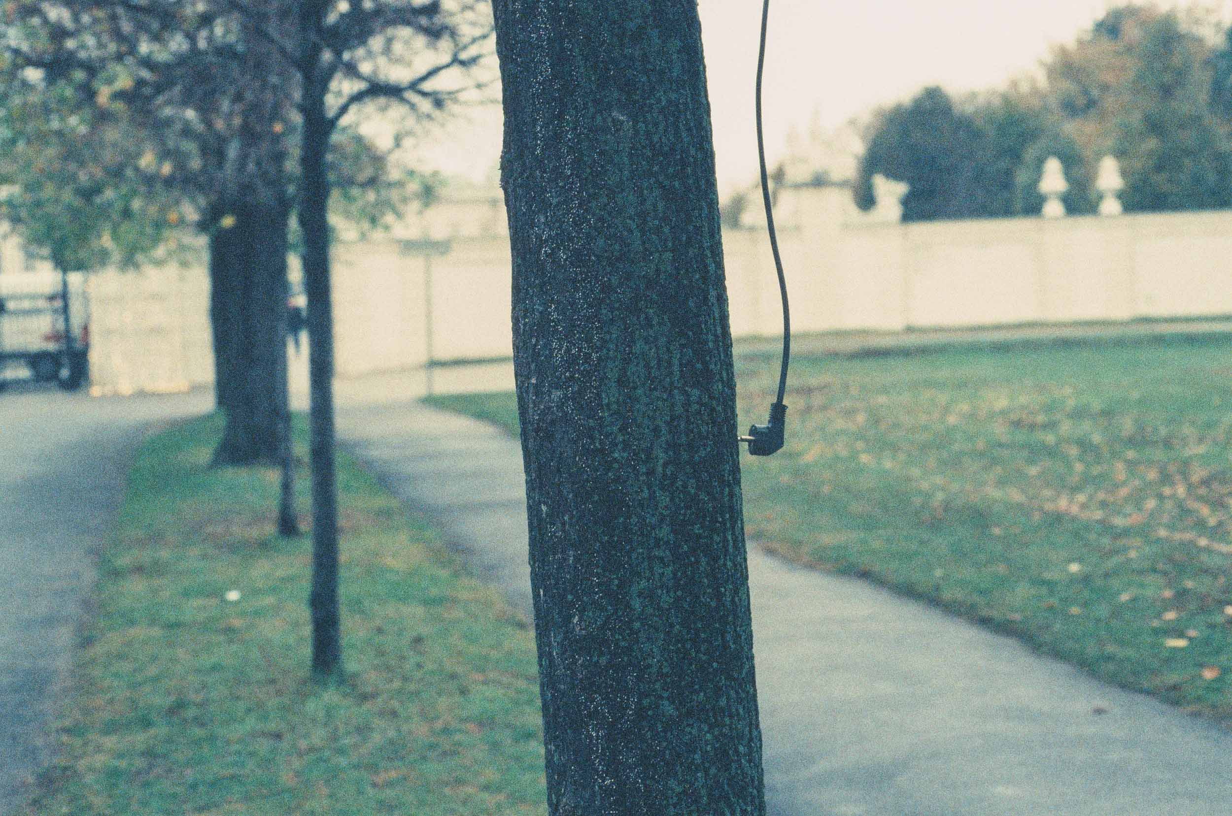Electricitree. Vienna 2018