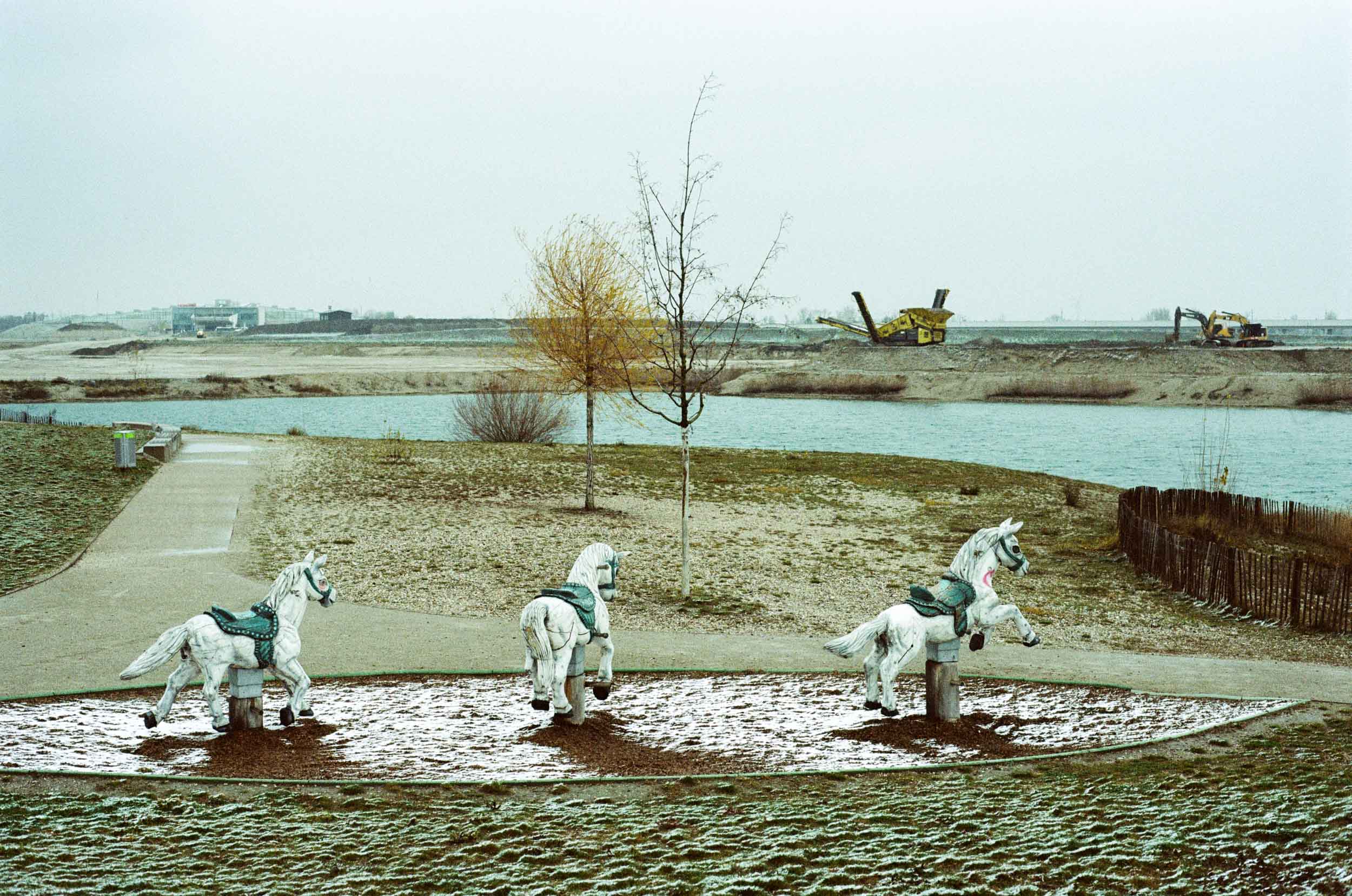 Wild Horses. Vienna 2018