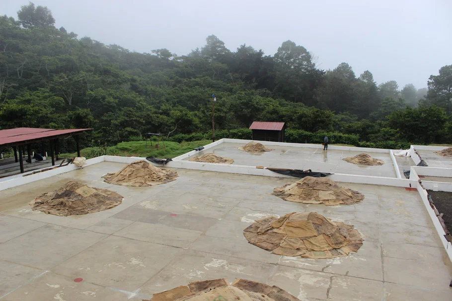 SAH-Patios-6.jpg