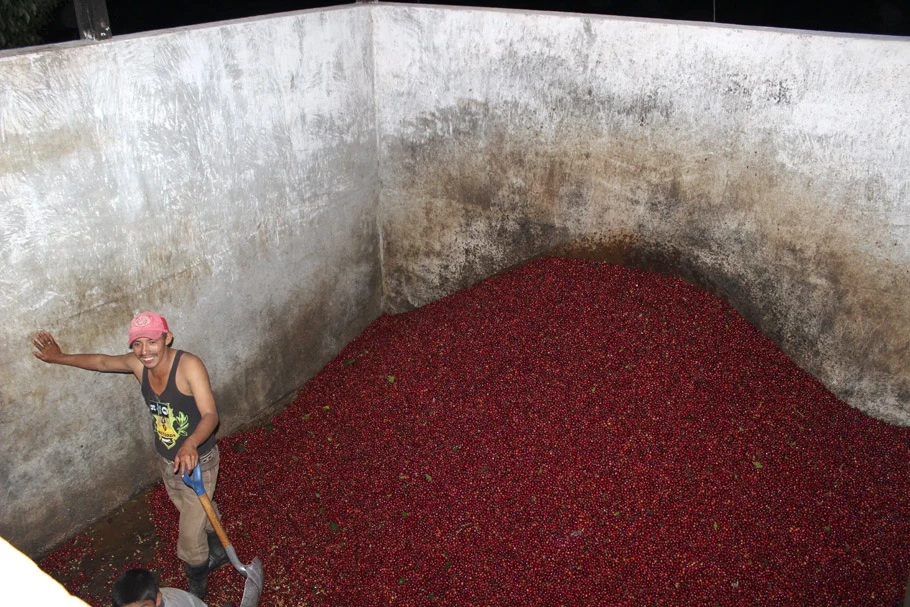 SAH-Wet-Mill-2.jpg