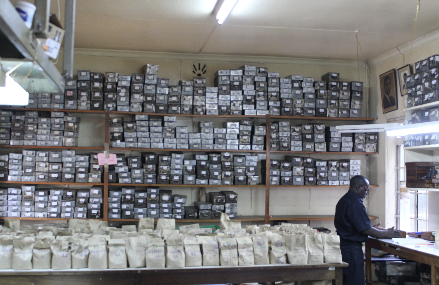 Coffee samples at Dormans cupping lab in Nairobi