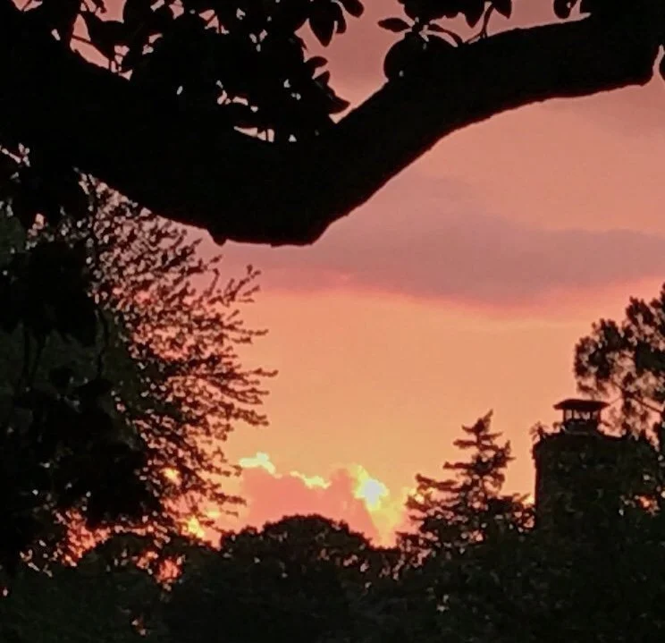 Always Always Looking for a Sunset