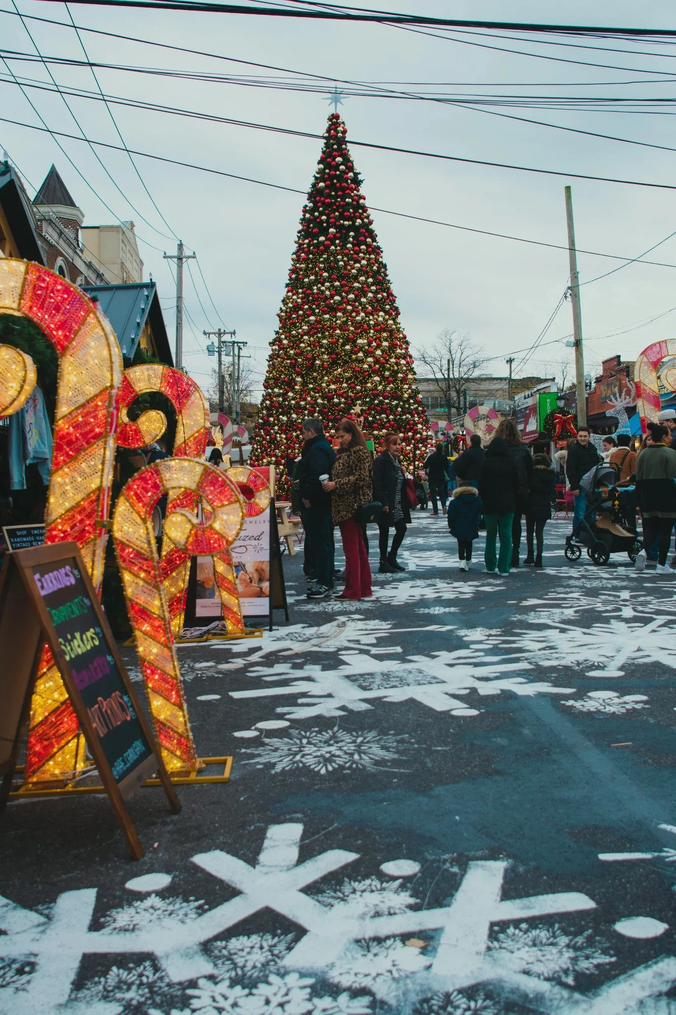 DSC_6079-2.jpg