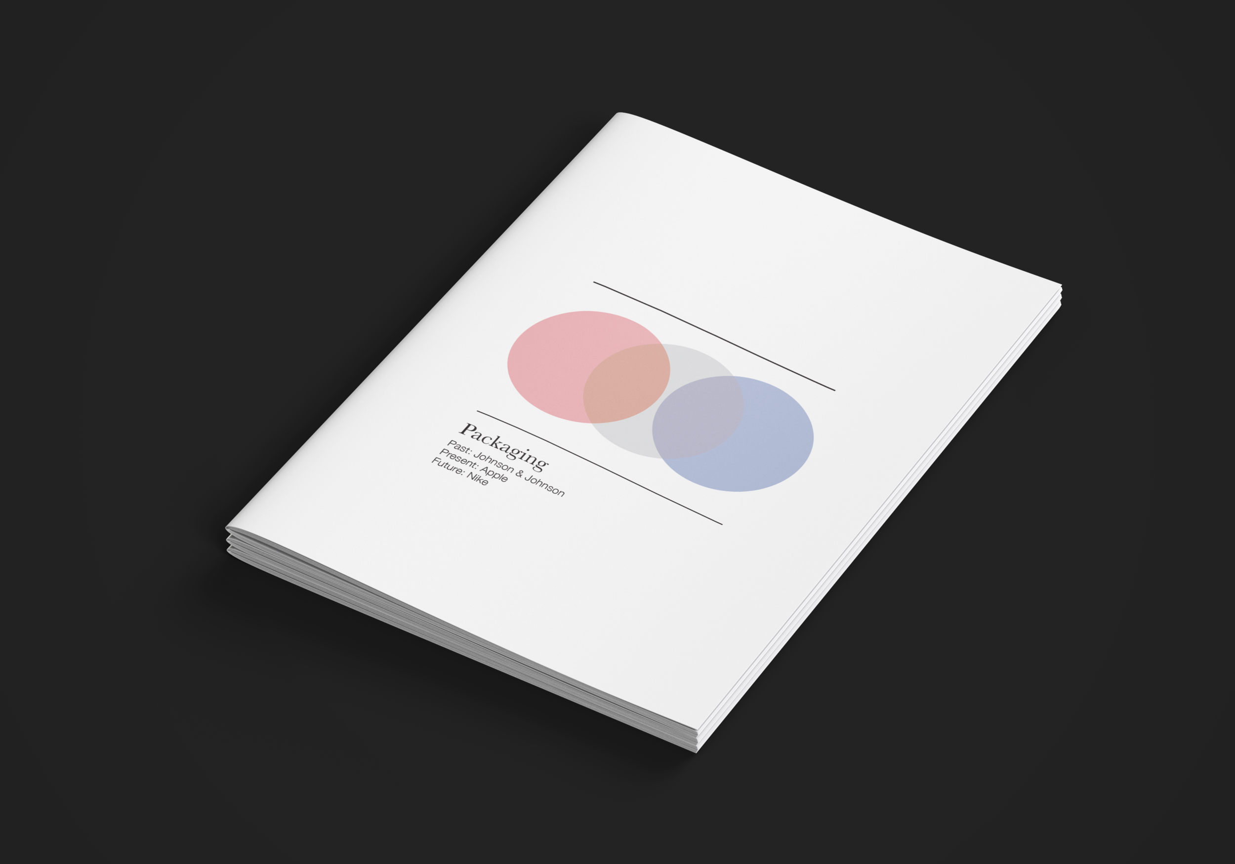  Packaging Book- Assignment  Book was made for class. Prompt was to show the past, present and future of a medium (packaging) 