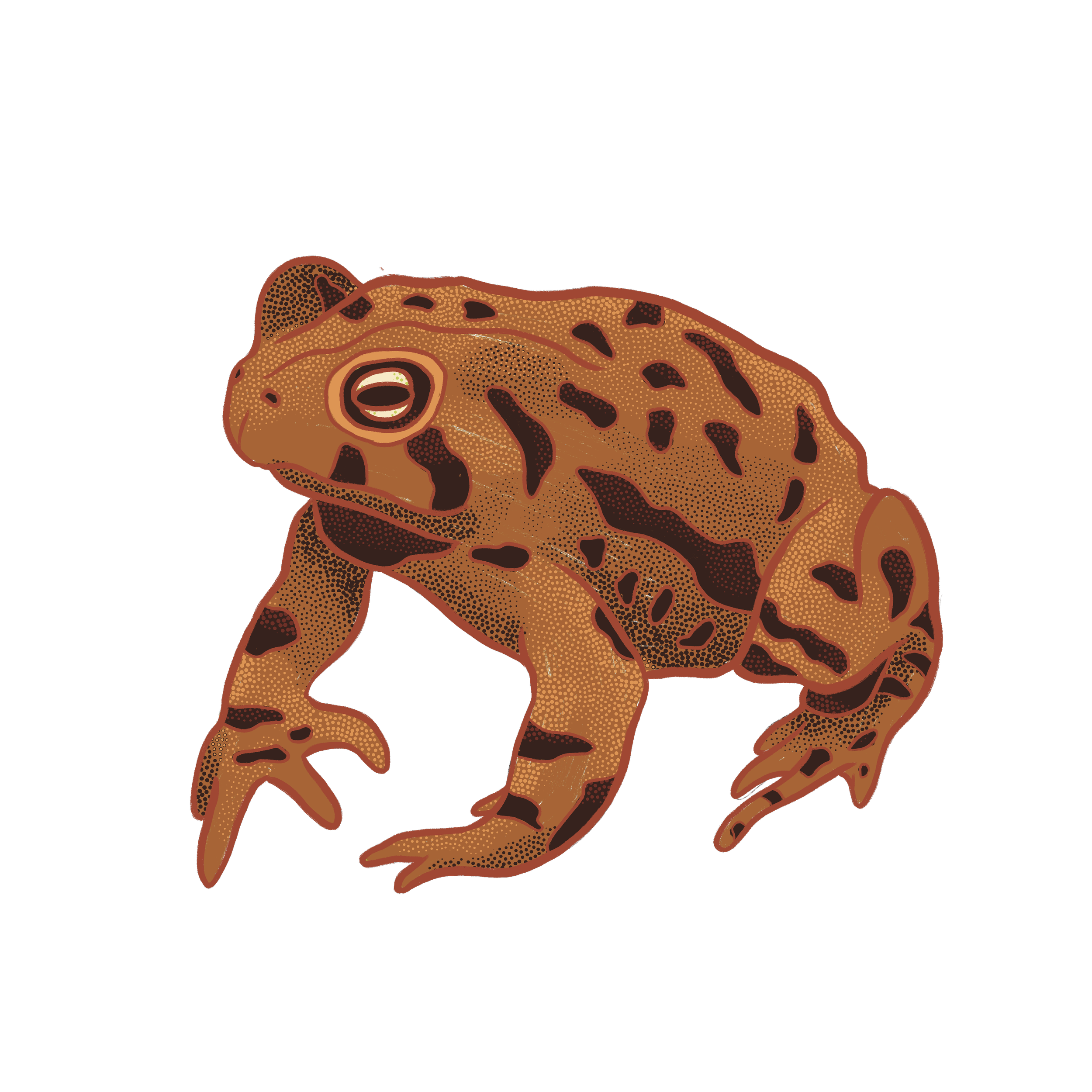 Toad.png
