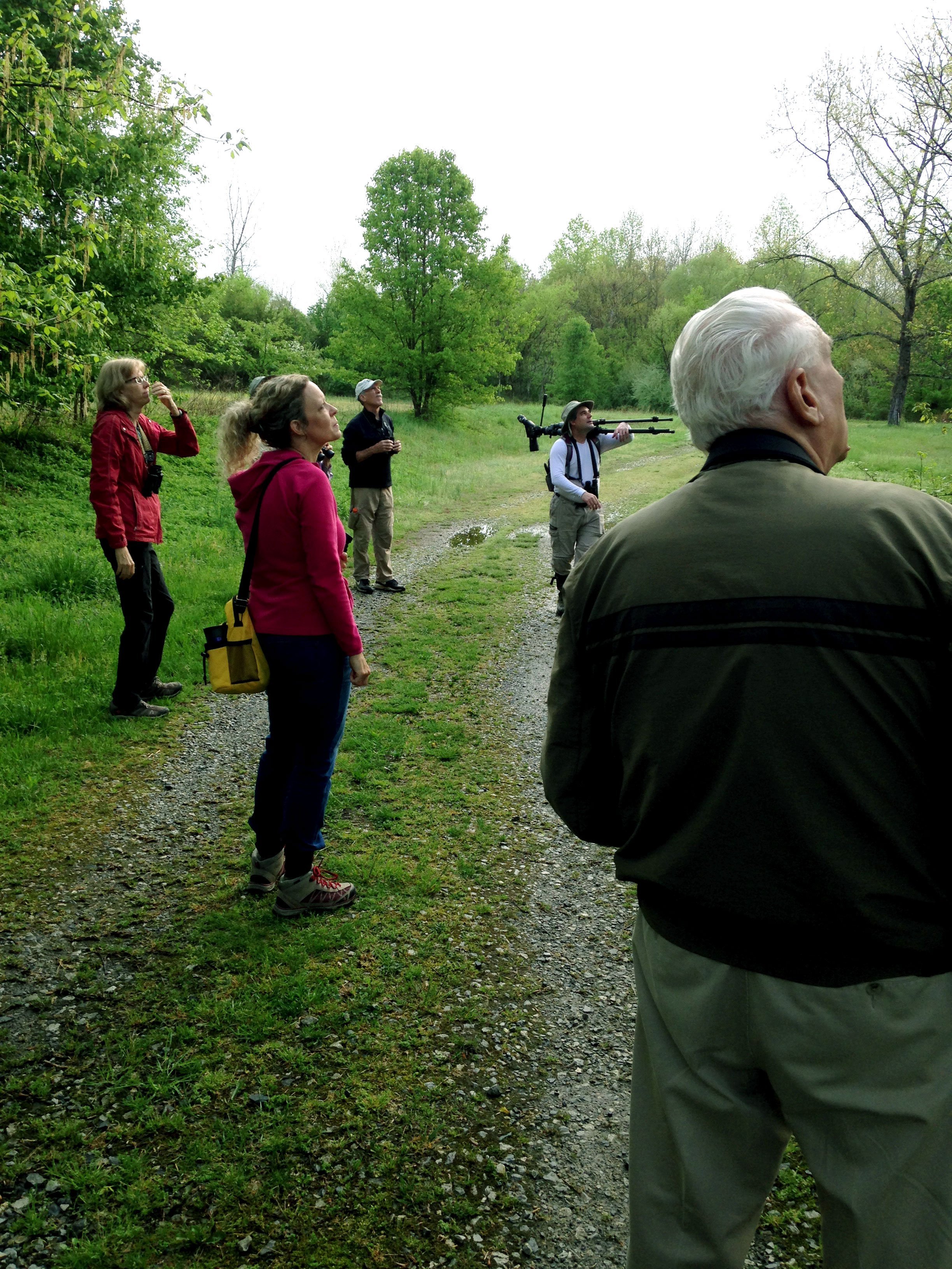 Governors-Bridge-bird-walk.jpg