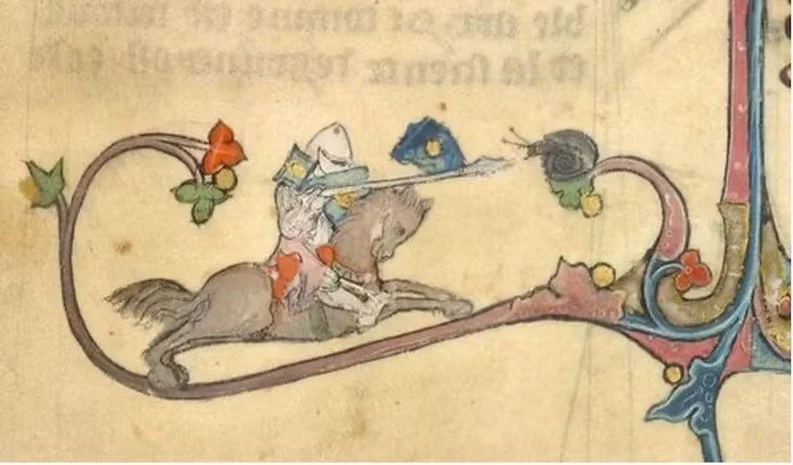 Battles in the Margins: Knights vs. Snails 🐌⚔️