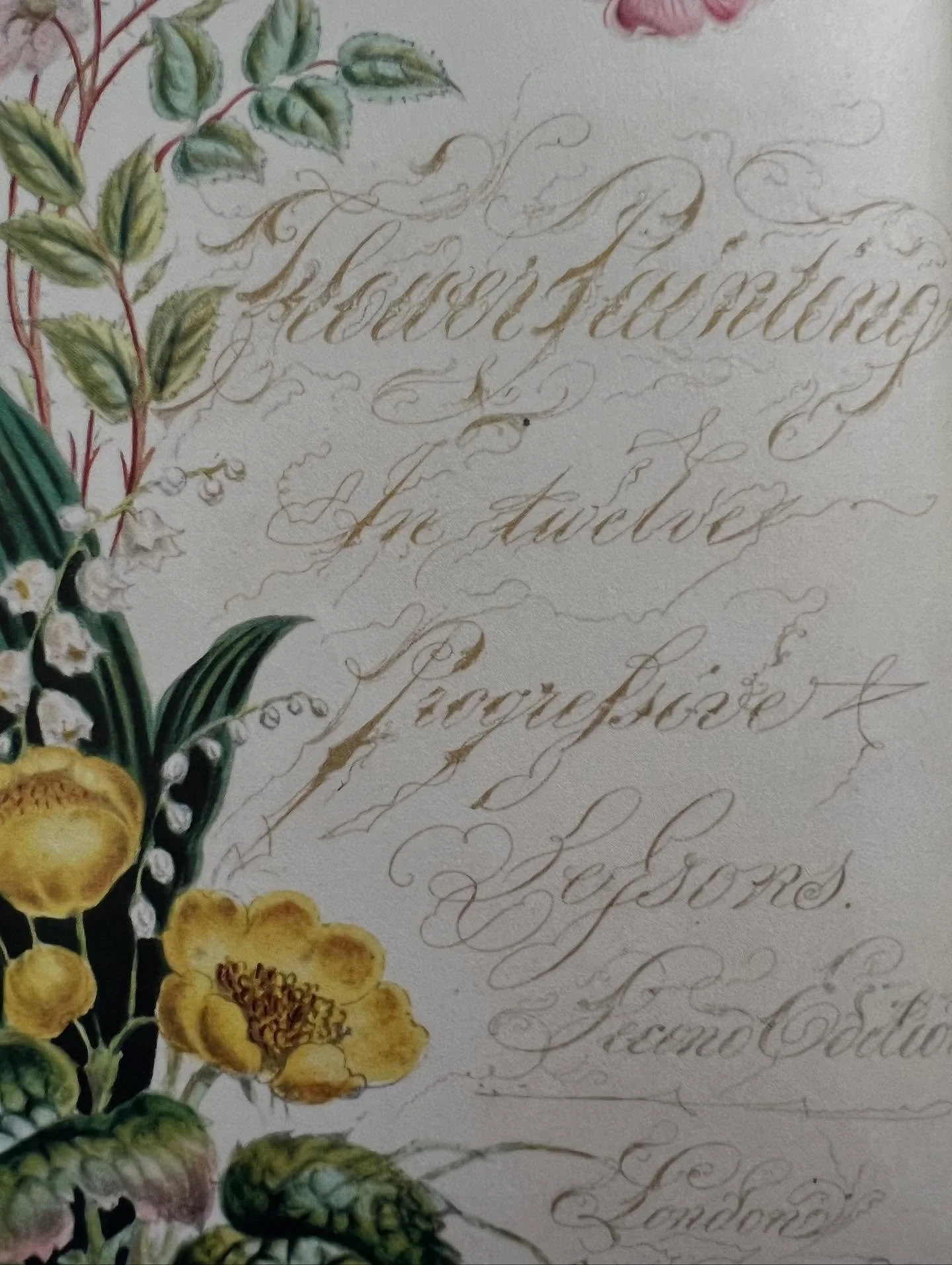 Plates from the beautiful John Derian sticker book, many of which include calligraphy.