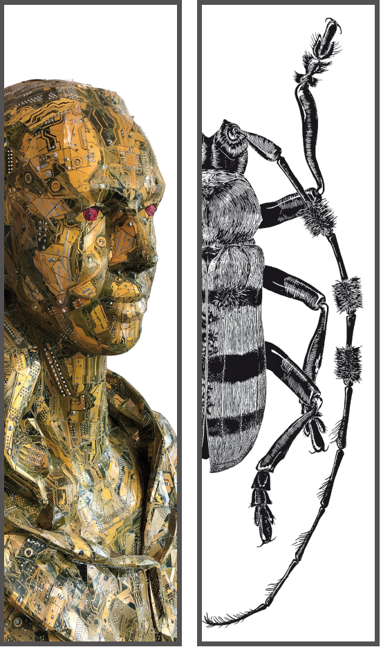 Galerie in der Promenade - Amandine Gollé (F), Holzschnitt Sebastian Hertrich, Skulptur