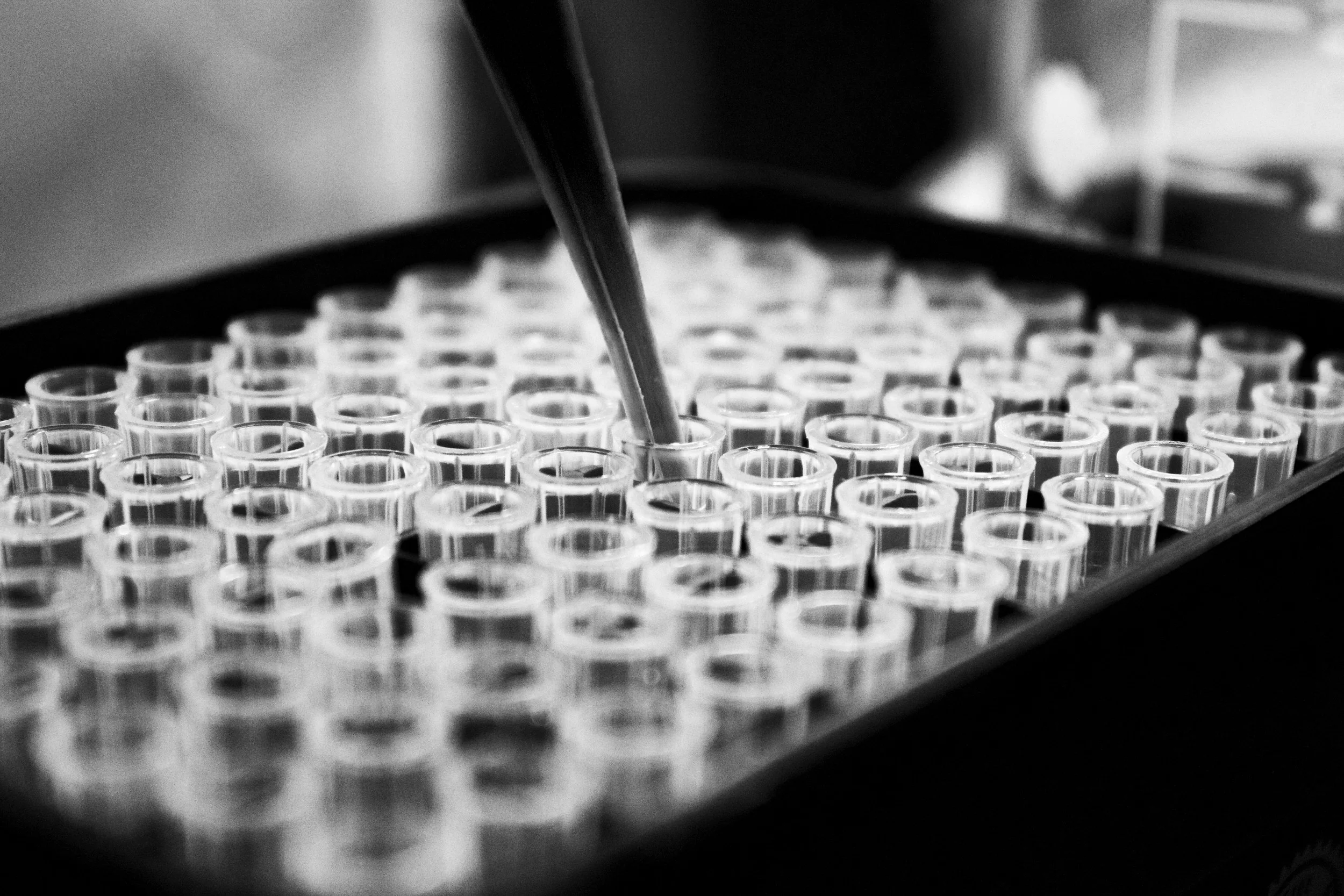 Contact — Grant Avenue Capital