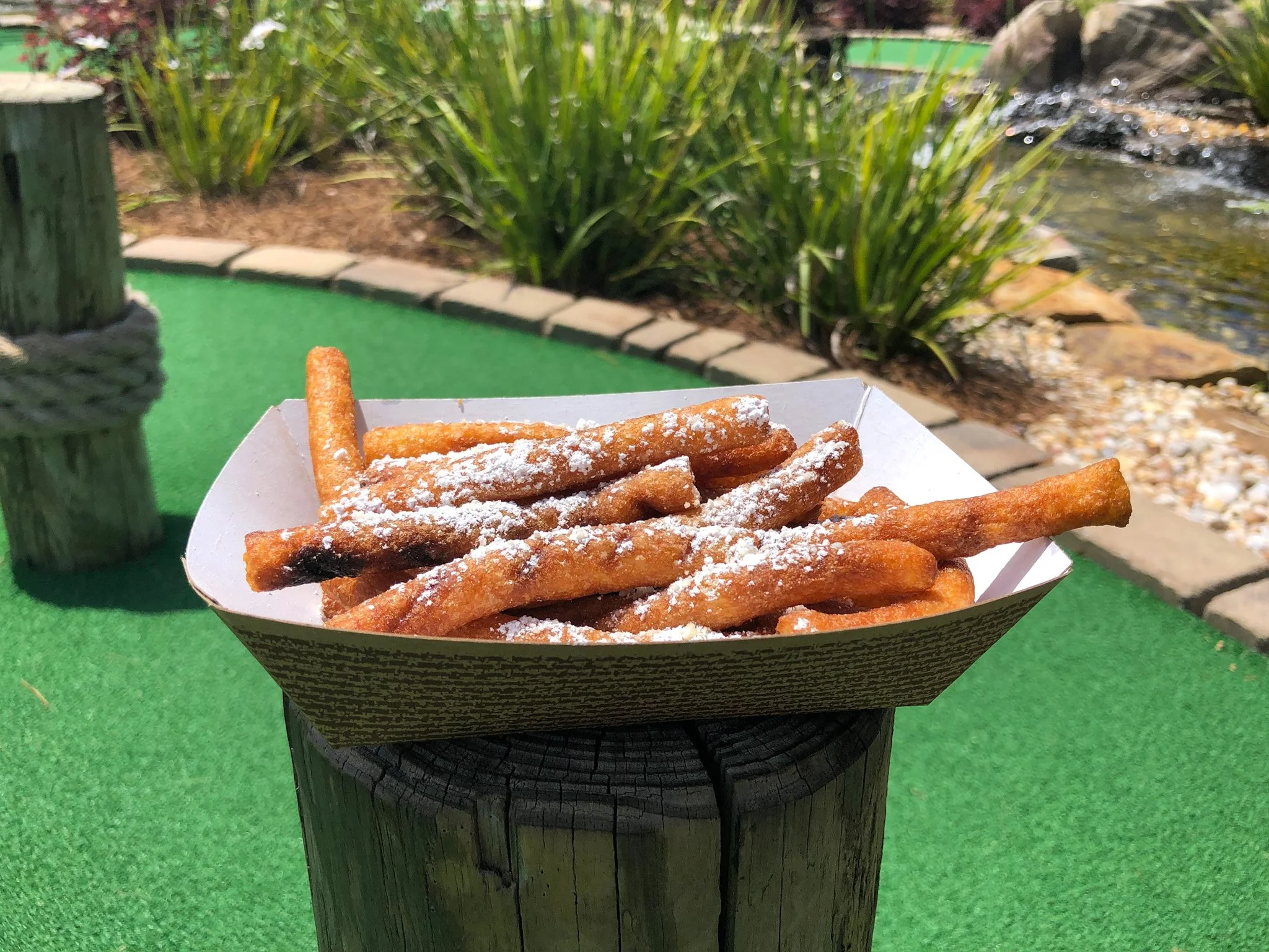 funnel fries.jpg