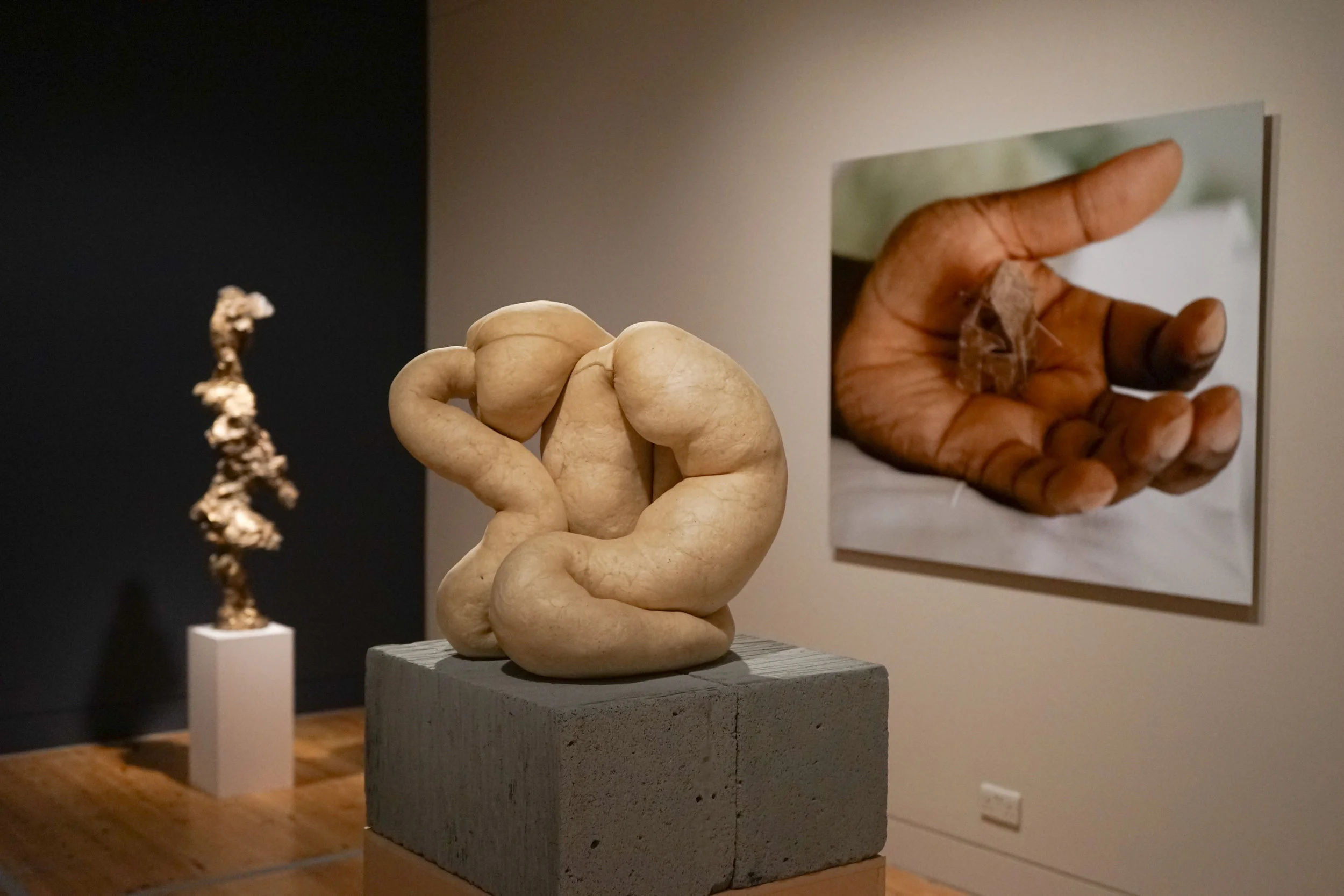 View of second room with works by Rebecca Warren (left), Sarah Lucas (centre), and Donald Rodney (right). Image © Leo Garbutt.