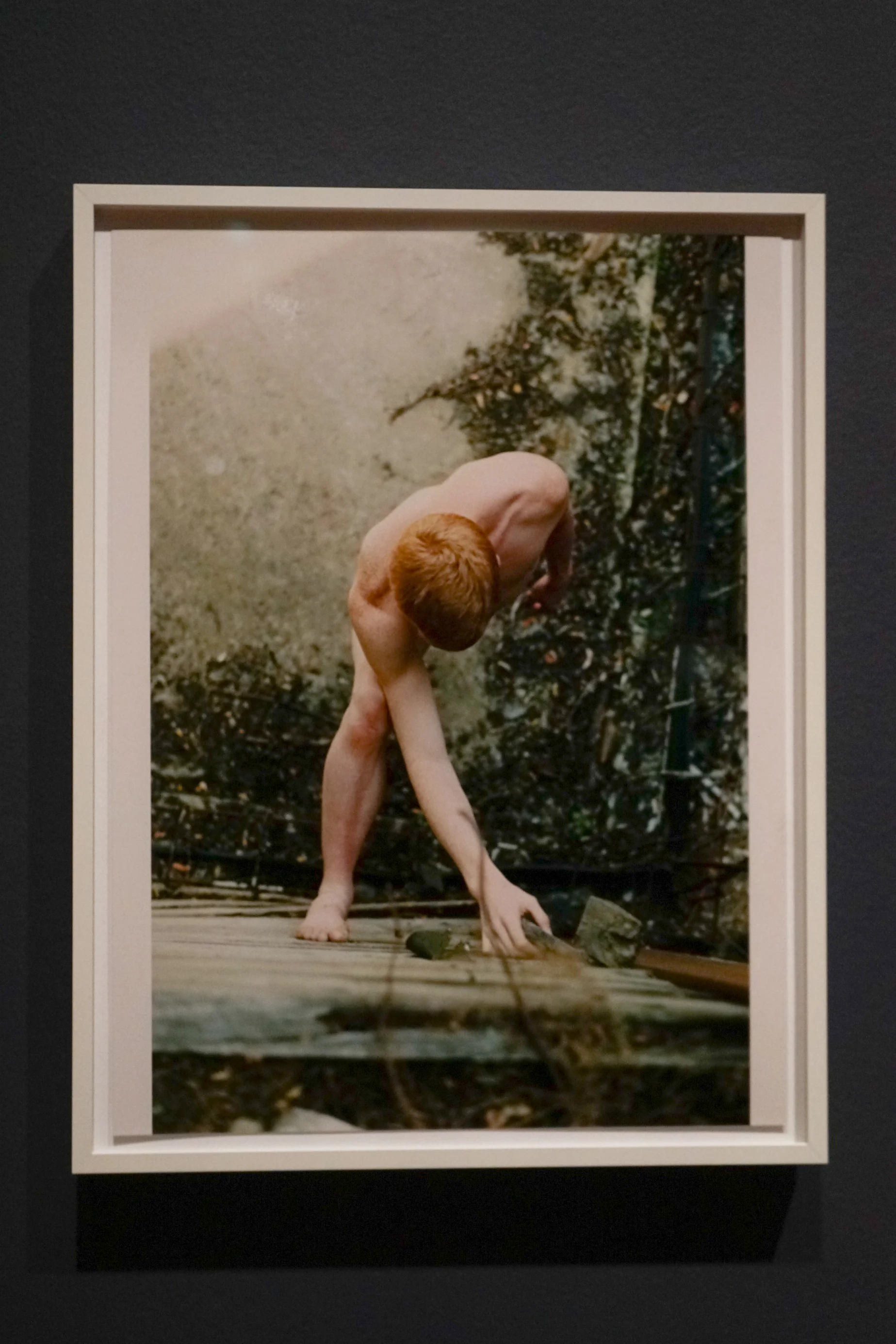  Wolfgang Tillmans,  Dan , 2008. Arts Council Collection, Southbank Centre, London © the artist, courtesy Maureen Paley, London. 