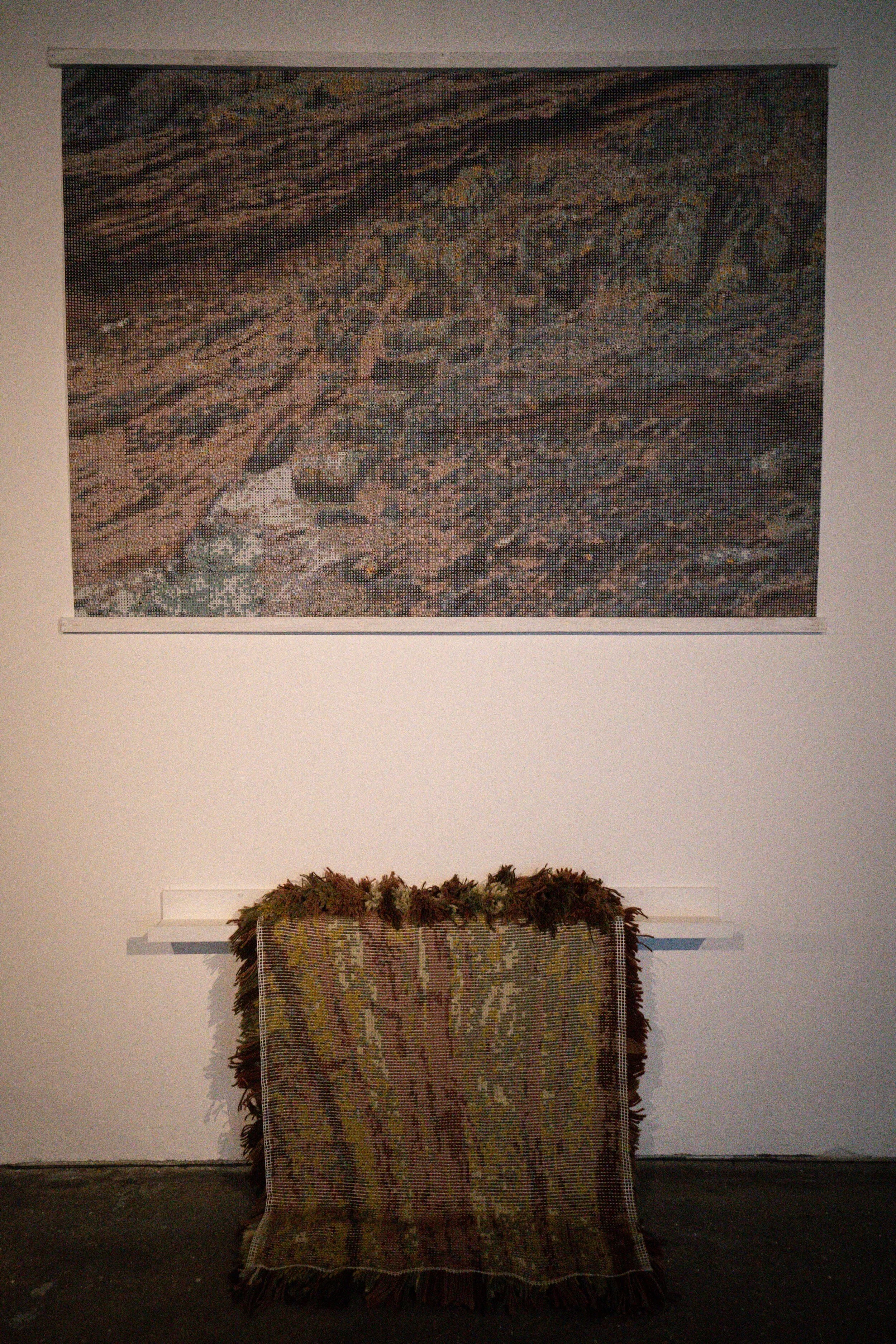 DD ex Nov 19-01593.jpg