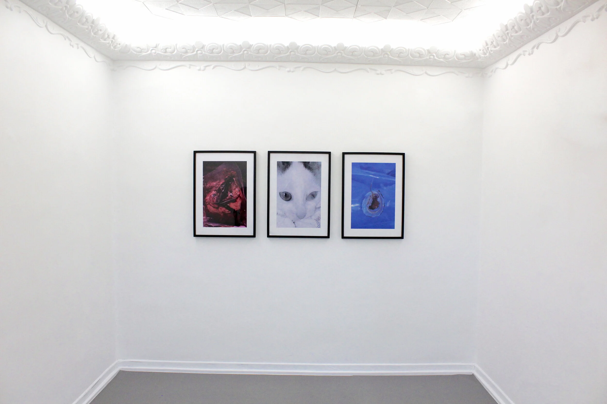 Elena Aya Bundurakis_K-Gold Temporary Gallery 2.jpg