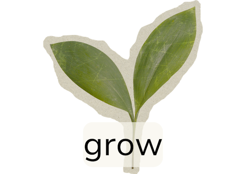a seedling with the words 'grow' on top