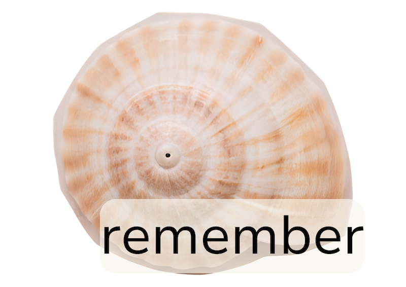 a butterfly with the words 'remember' on top