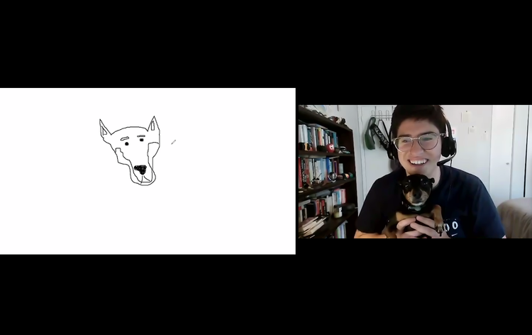 Pictionary using Whiteboard Zoom