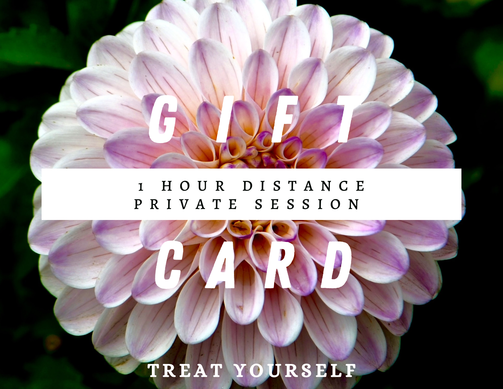 D882018F-761B-41B8-A8ED-051EFB003412