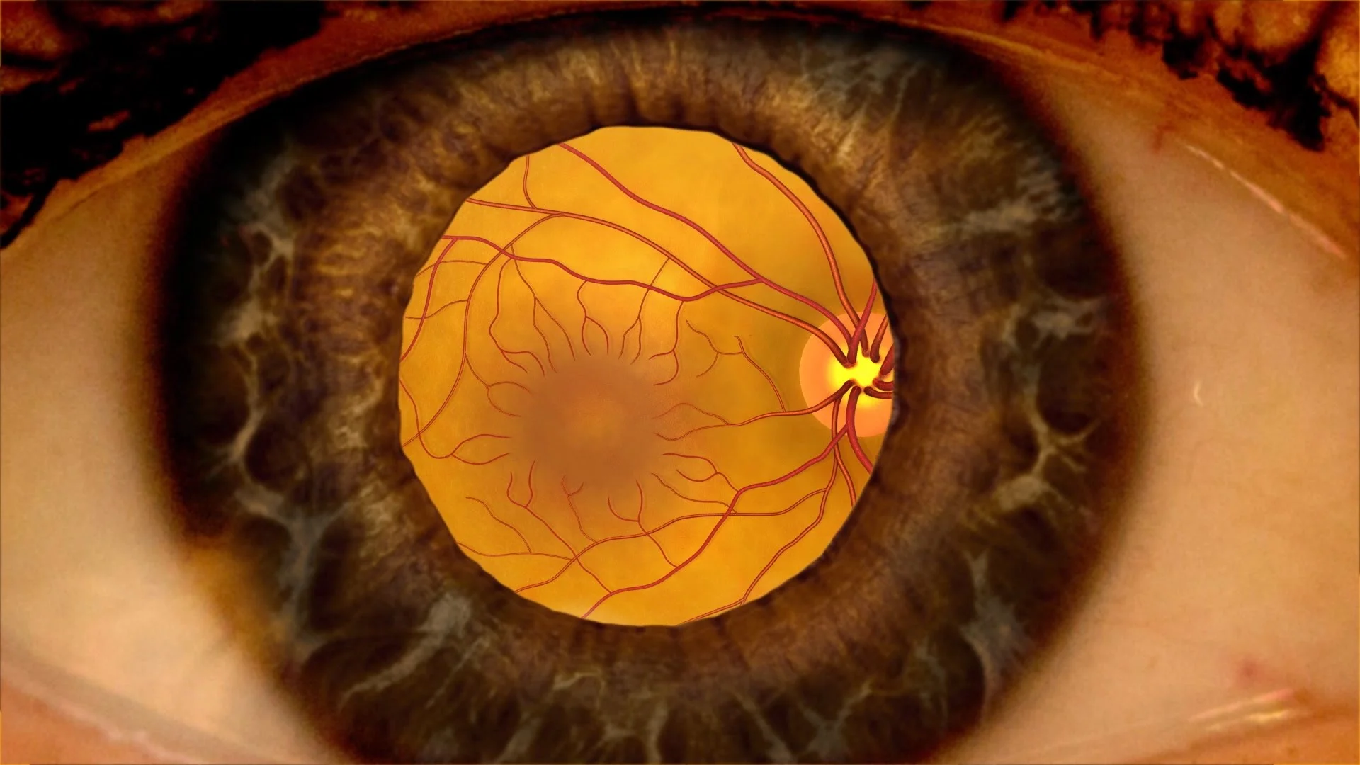 Eye Associates of Lexington