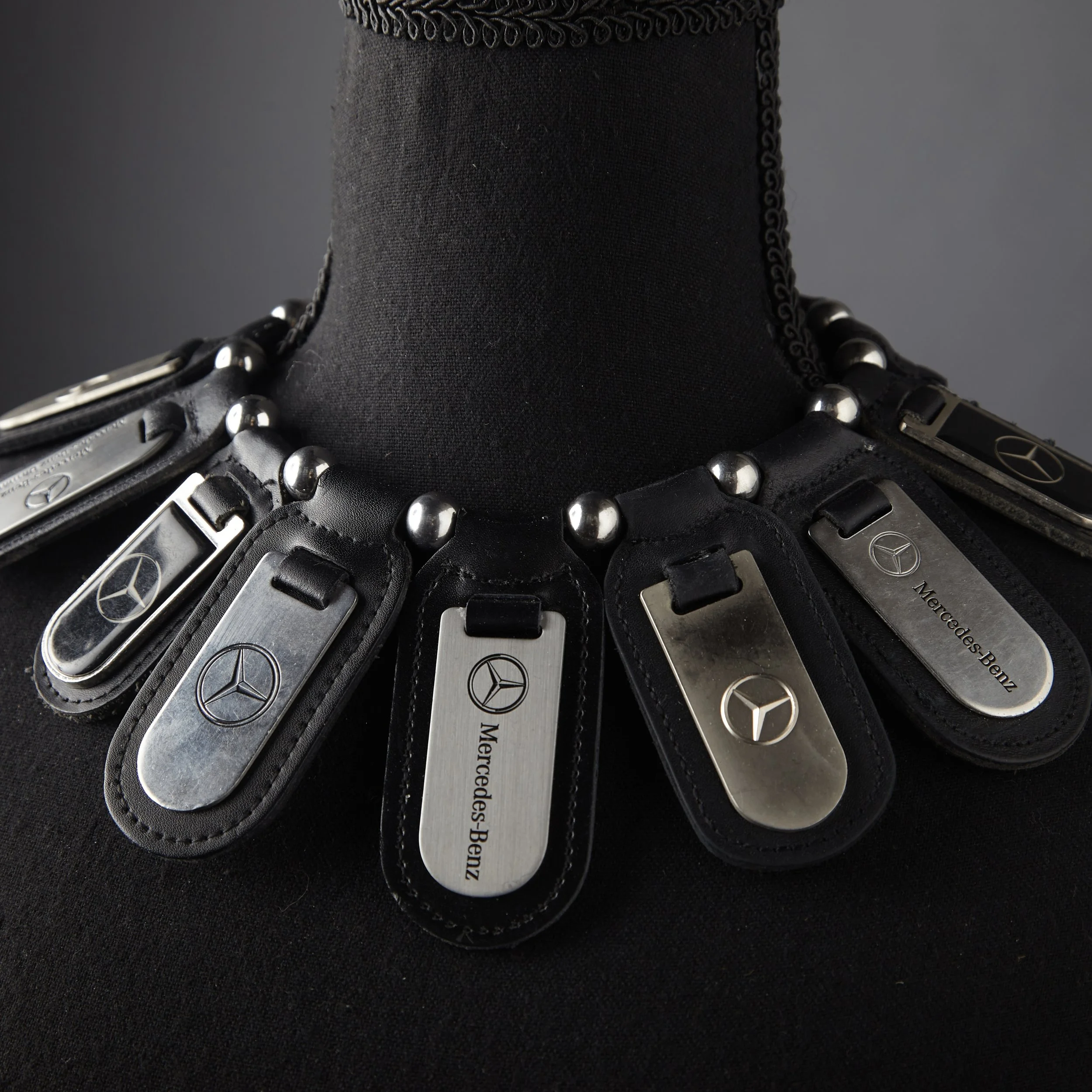 Sadie Collar Close.jpg