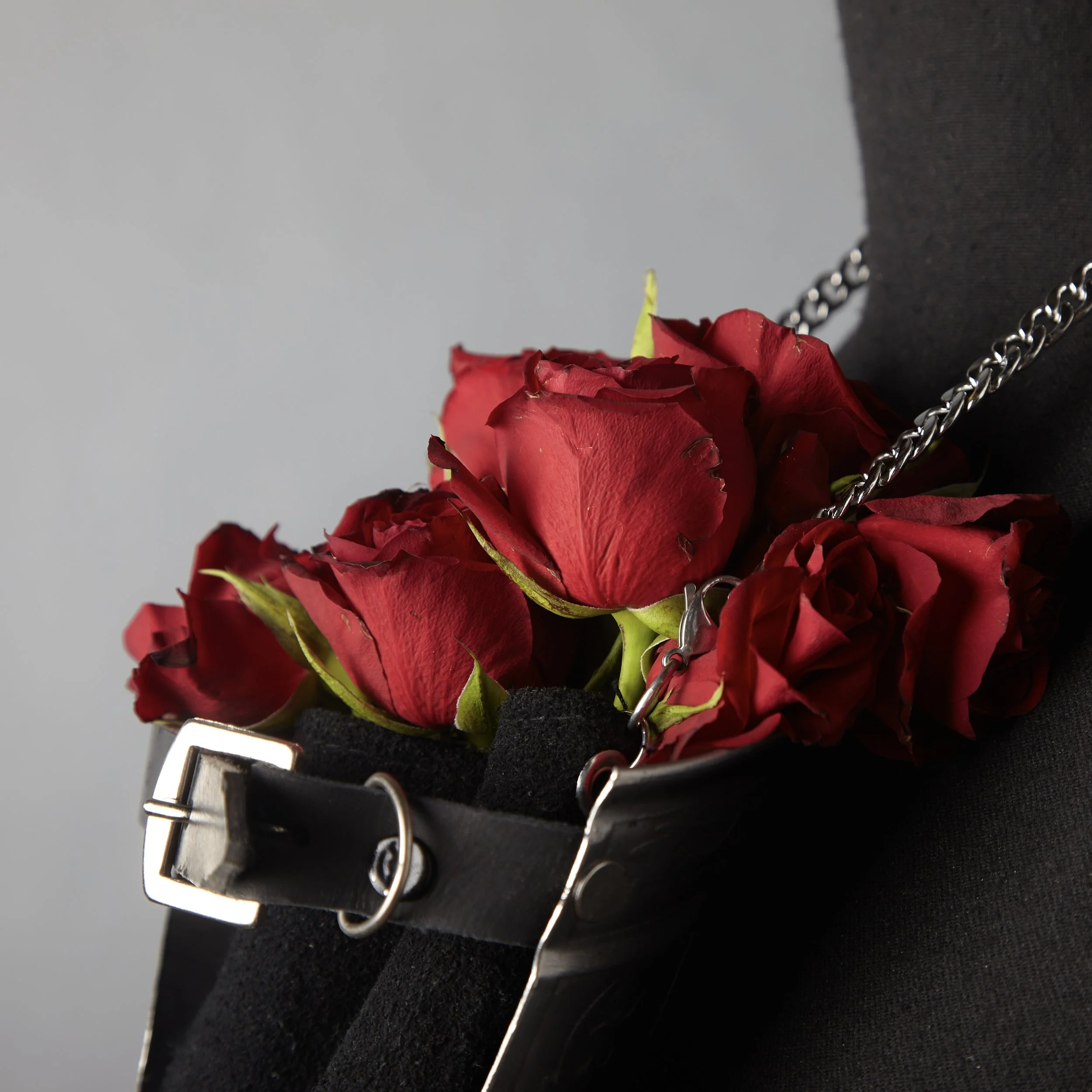 Protect Your Roses .jpg