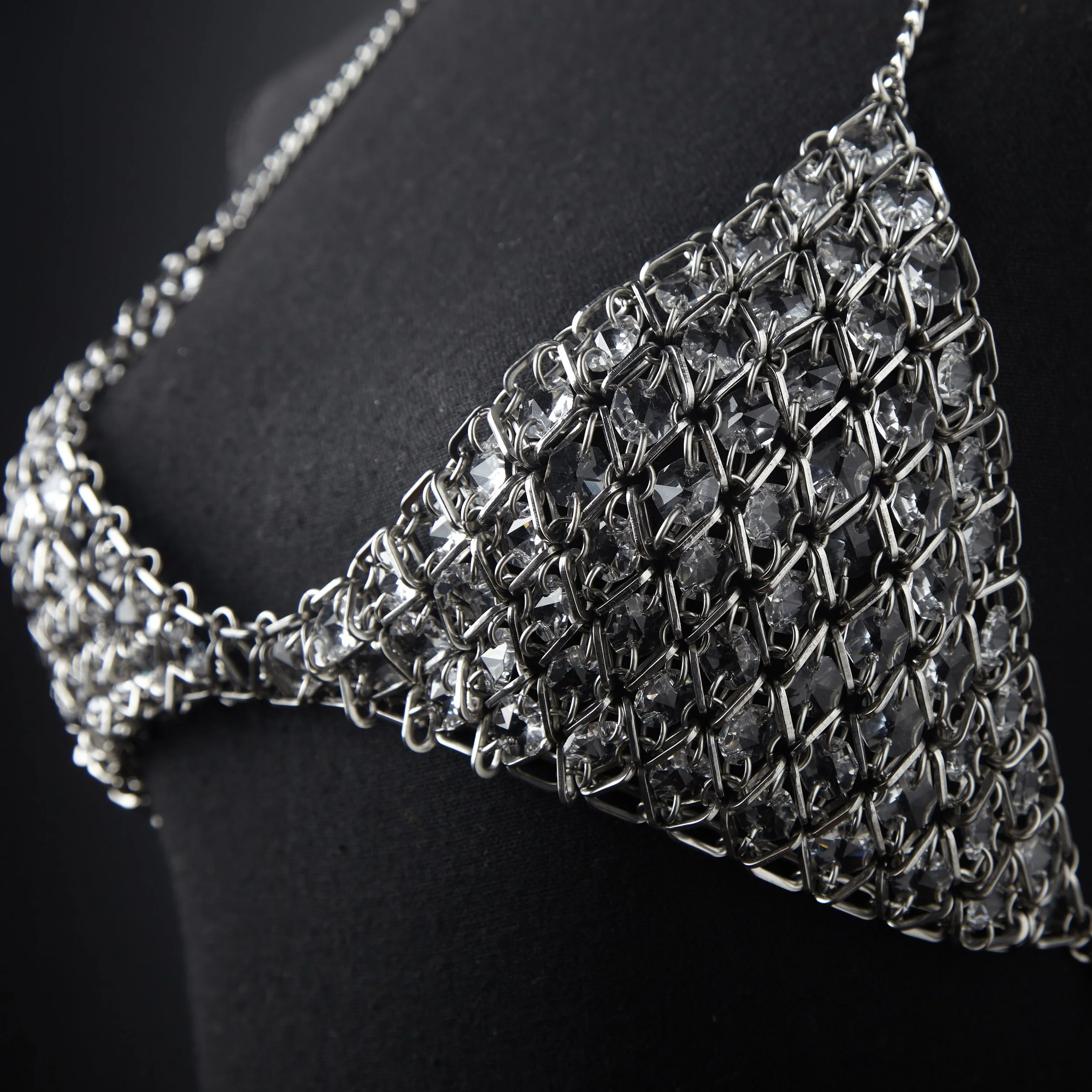 Clarity Bikini Close Up.jpg