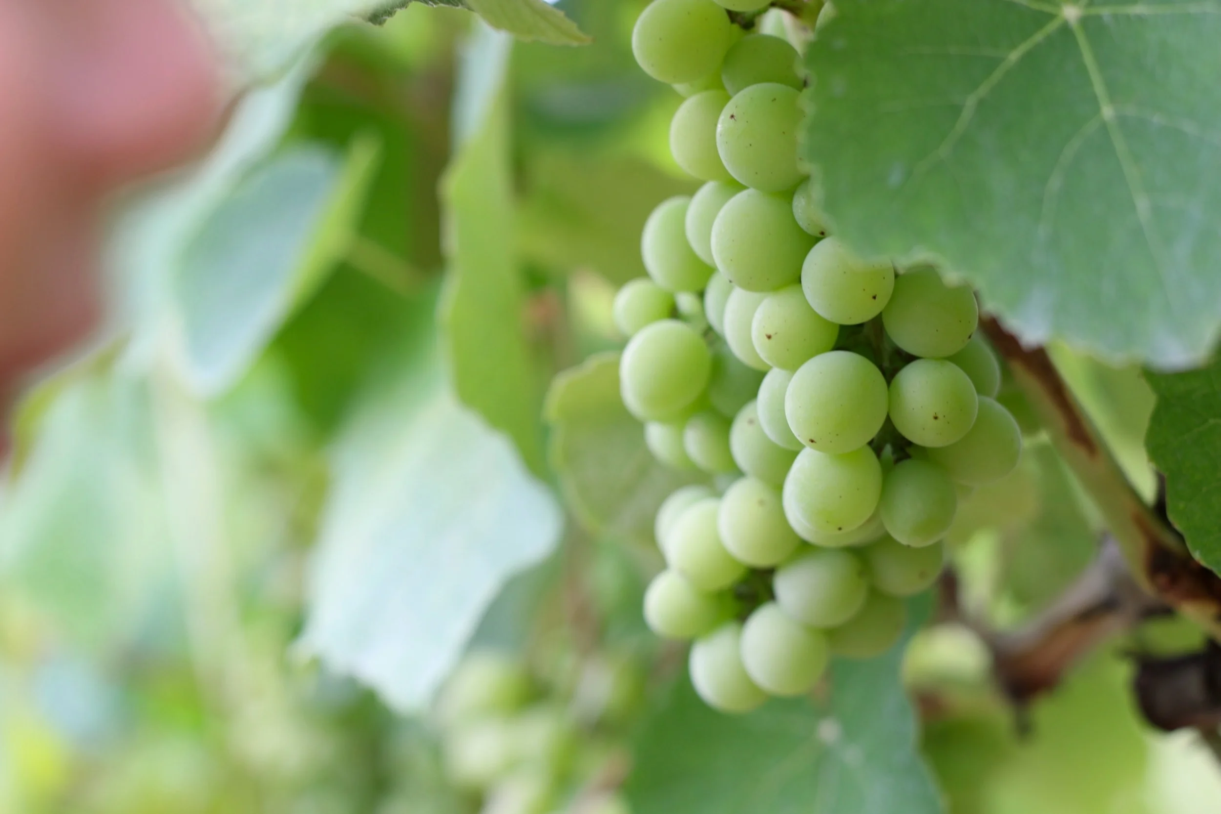 Wir freuen uns auf Ihren Besuch!